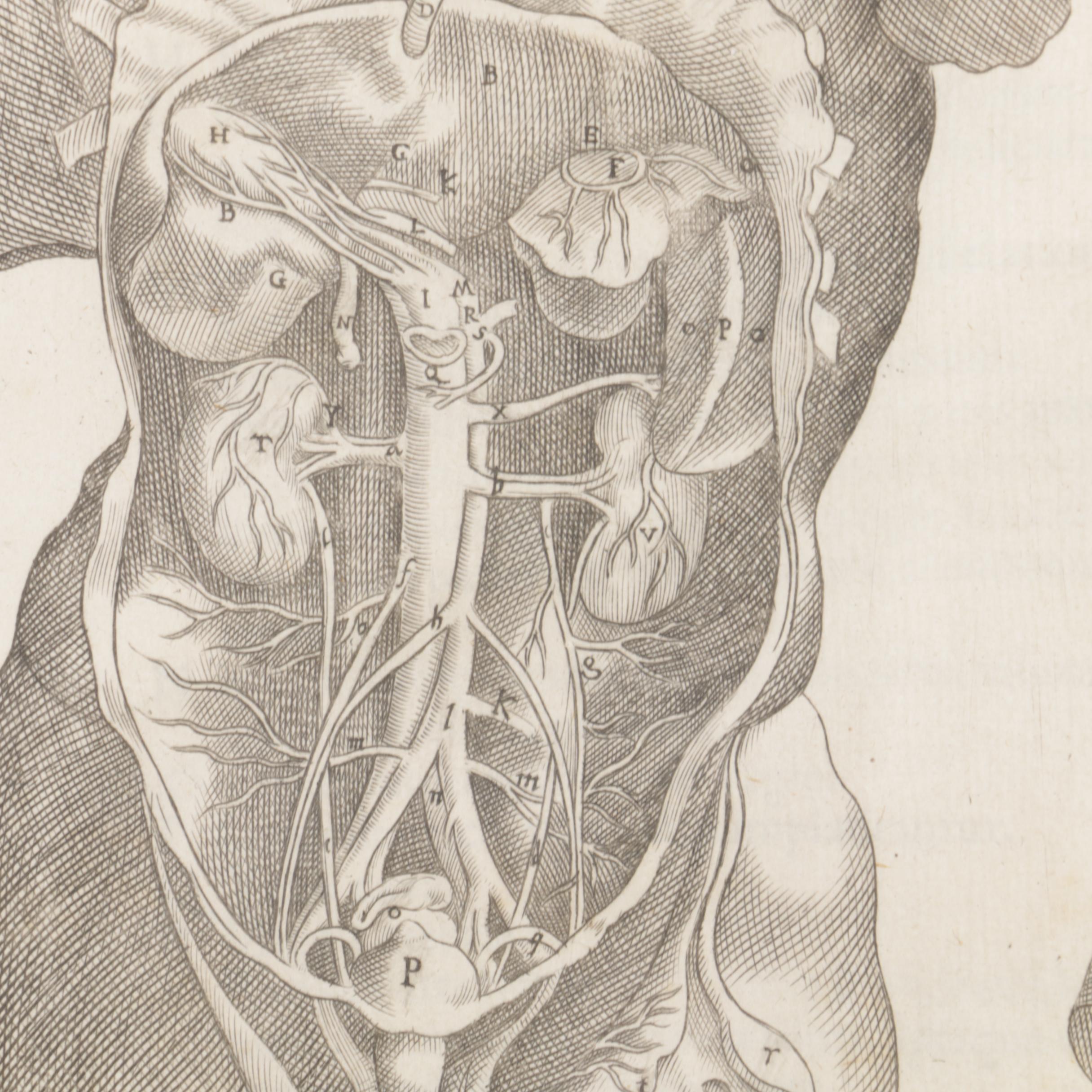 Etchings Including Jacques Villon Aquatint After Bonnard's "La Femme au Chien"