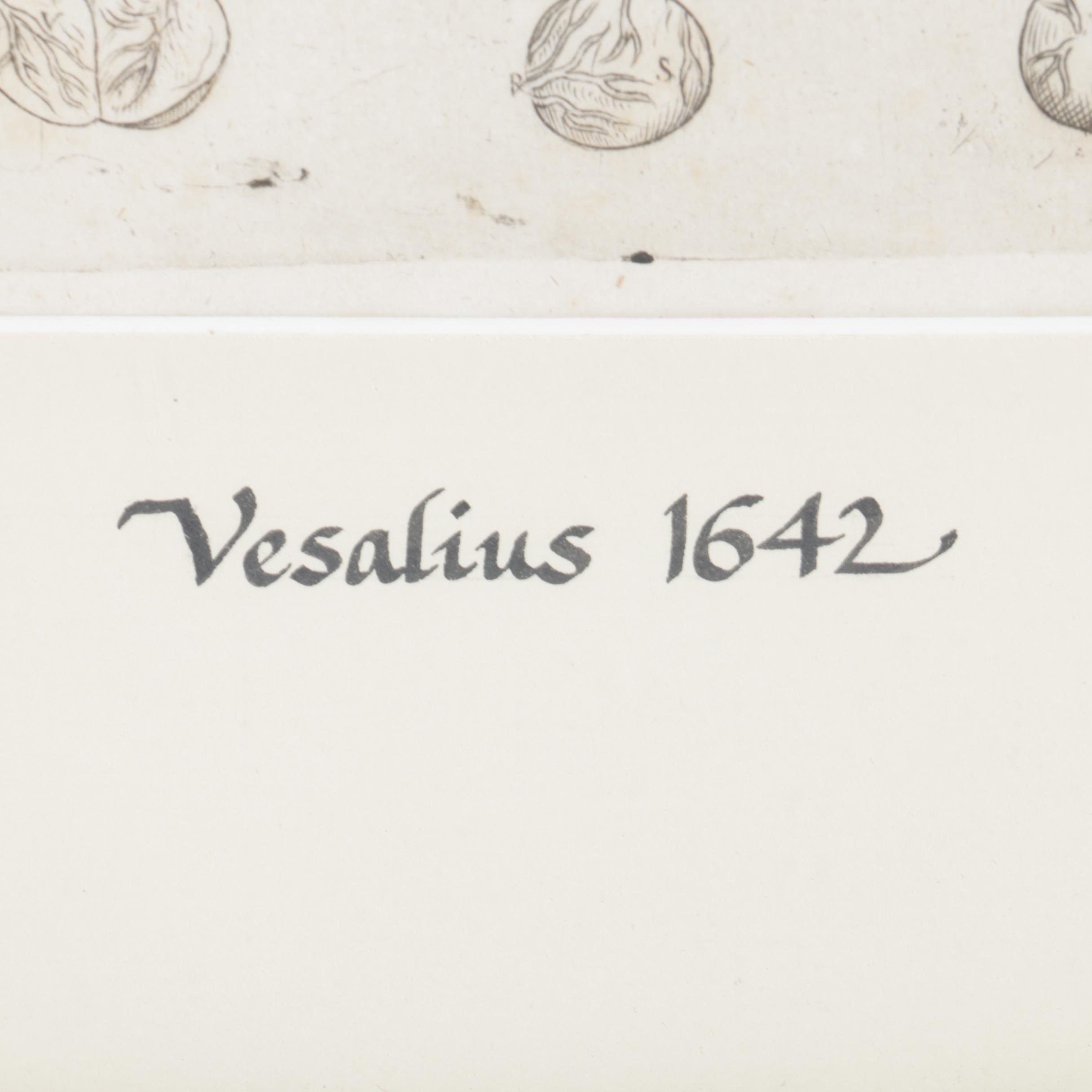 Etchings Including Jacques Villon Aquatint After Bonnard's "La Femme au Chien"