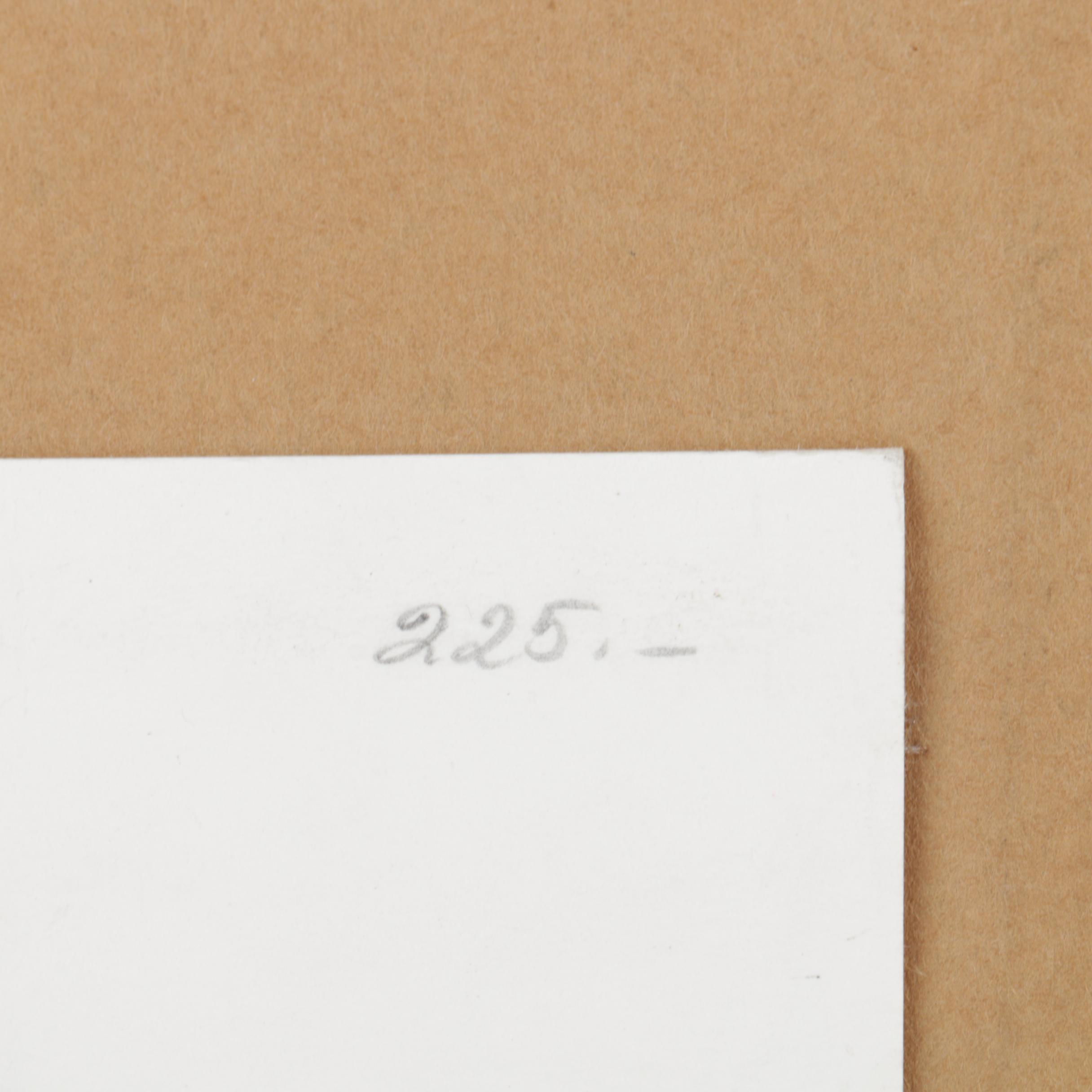 Etchings Including Jacques Villon Aquatint After Bonnard's "La Femme au Chien"