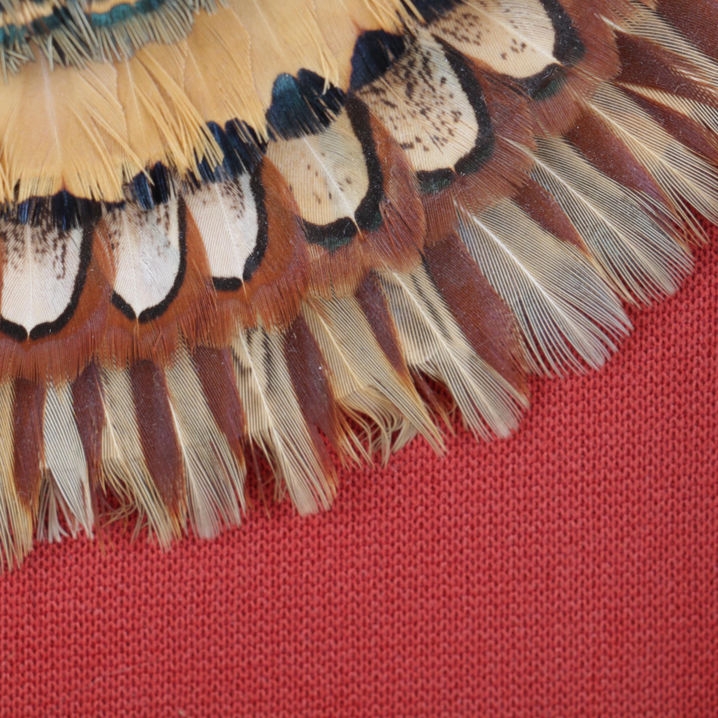 Burl Wood Box and Framed Feather Art "The Circle of Life" by Norman Peirce