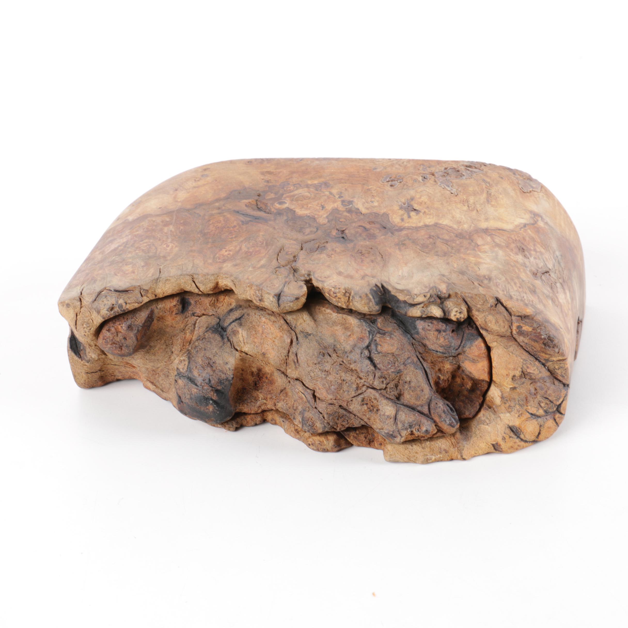 Burl Wood Box and Framed Feather Art "The Circle of Life" by Norman Peirce