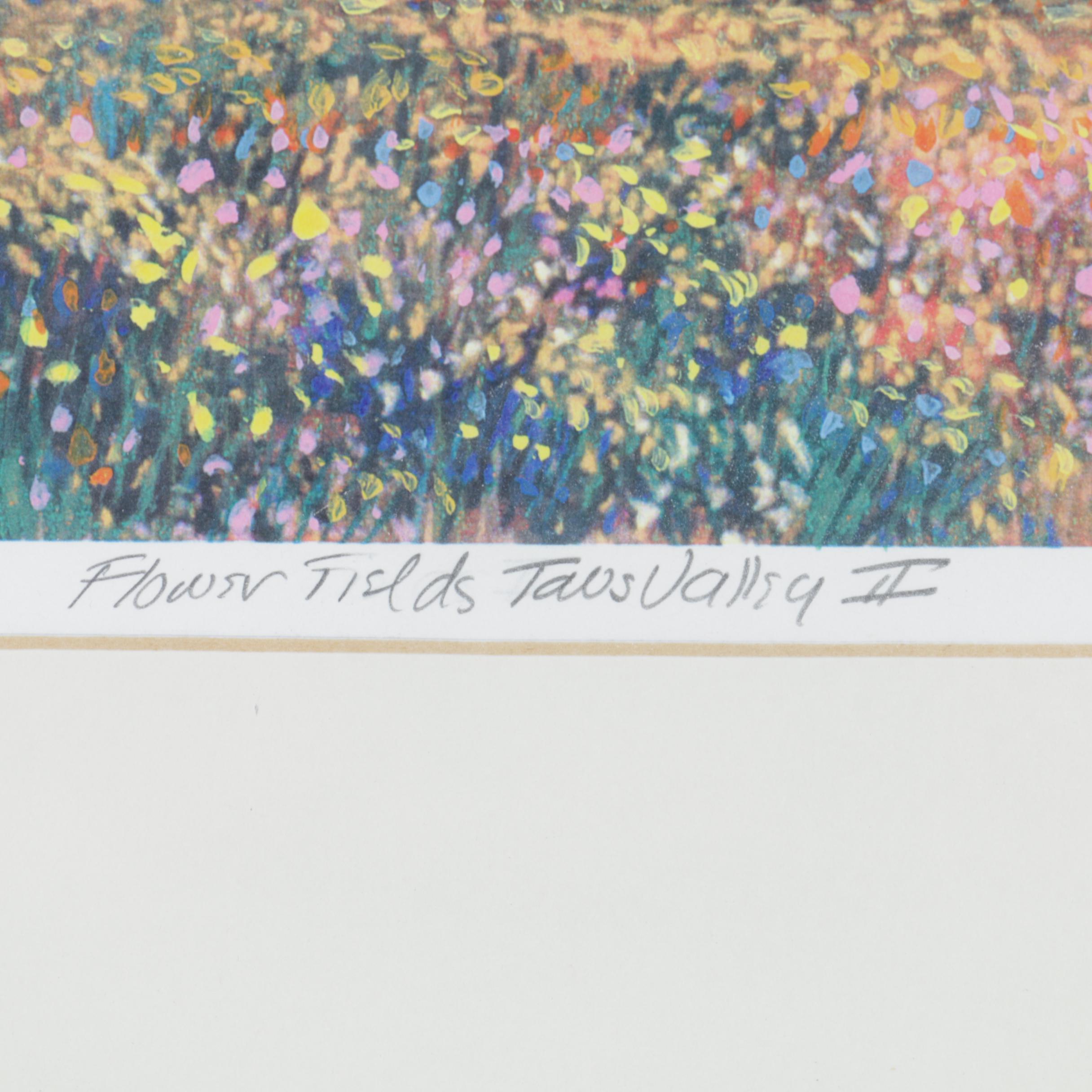 Valerie Graves Reproduction Print "Flower Fields - Taos Valley II"