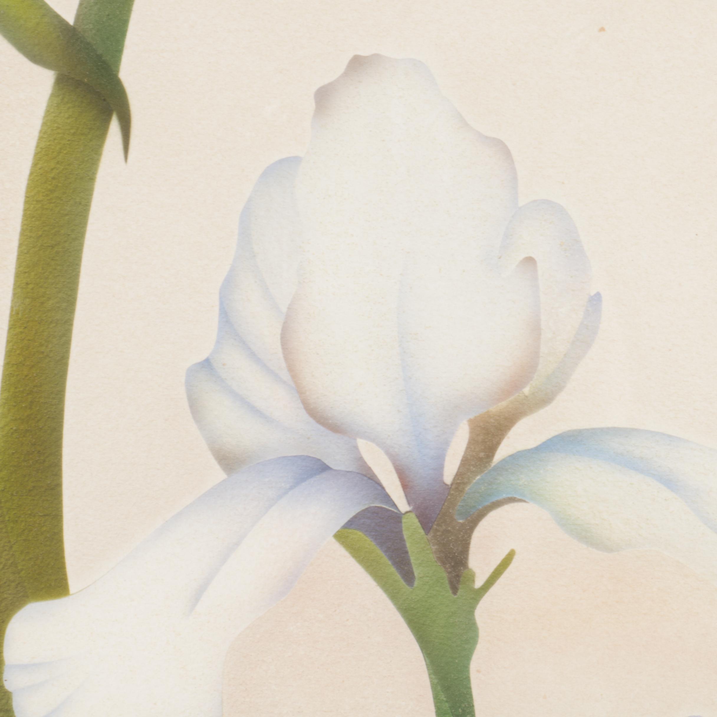 G.W. Alltom 1982 Airbrush Painting on Paper of Bearded Irises