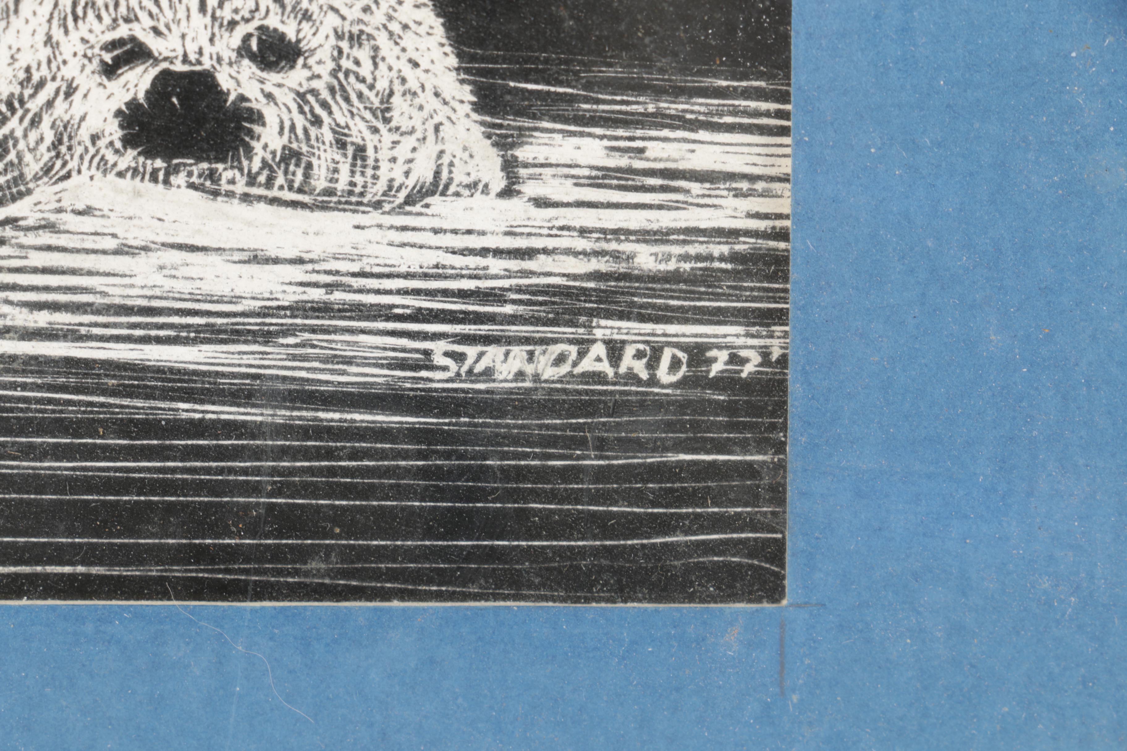 Standard Drawing on Scratch Board