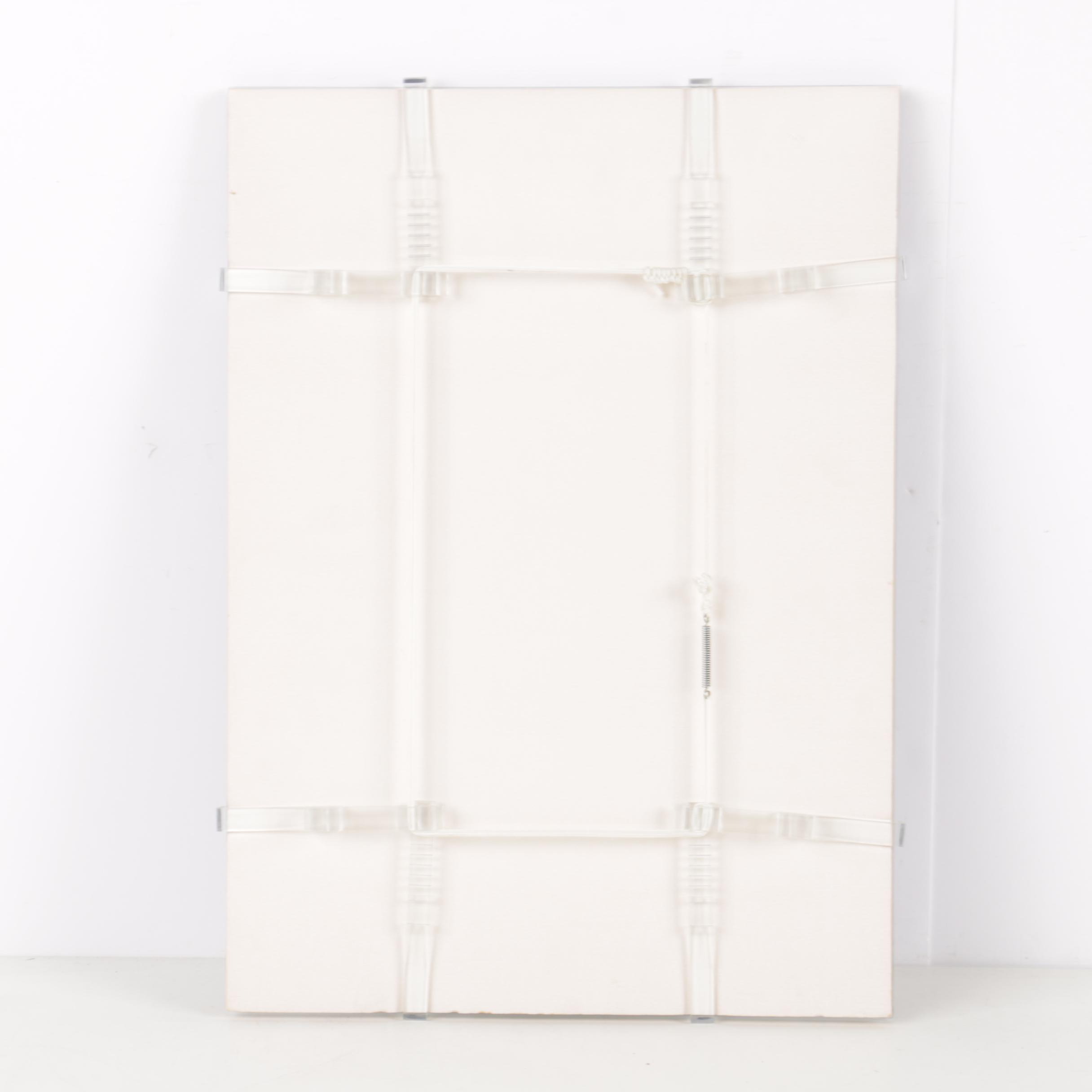 Color Photographs of Cats and Flowers