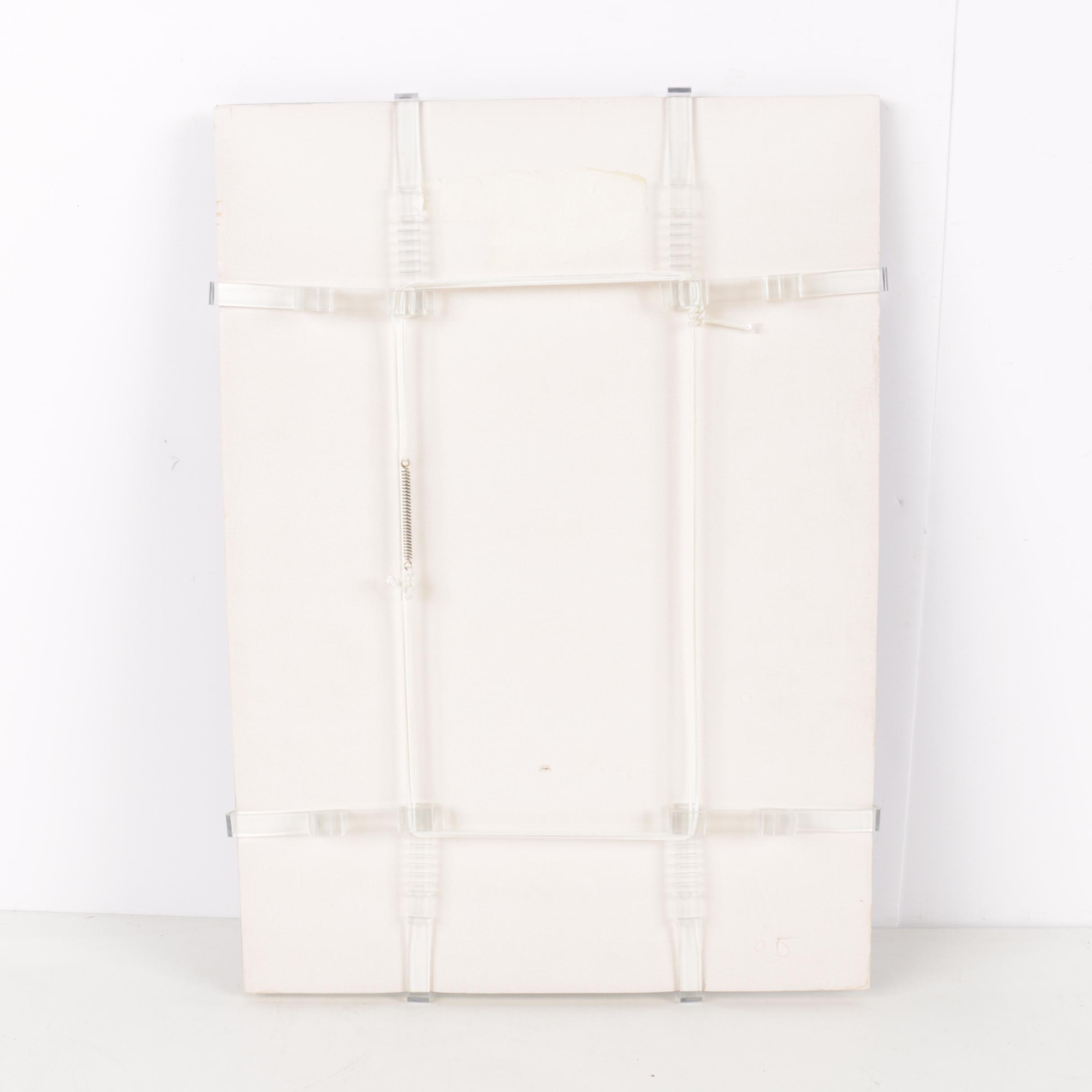 Color Photographs of Cats and Flowers