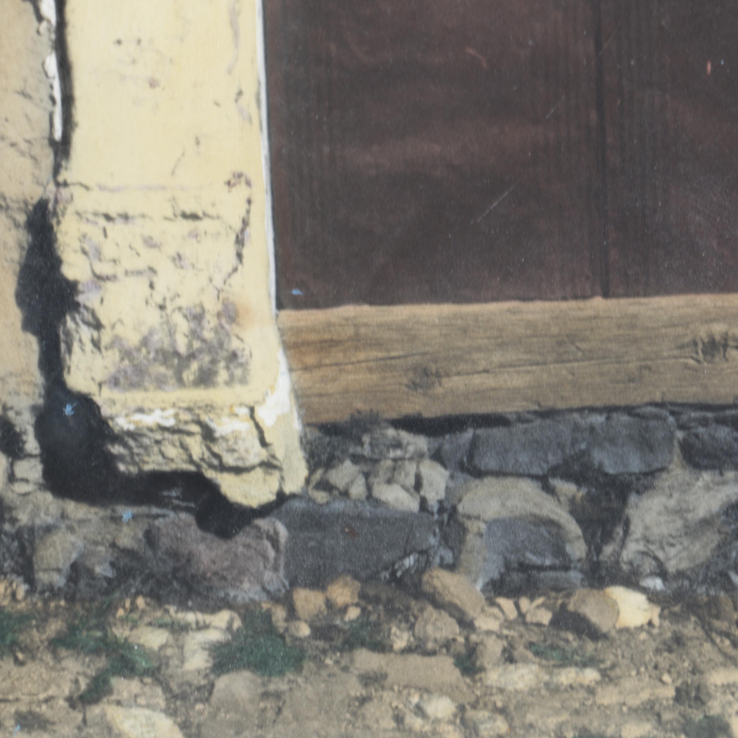 Deborah Dupont Limited Edition Albumen Print on Paper "Casa de Rosa"