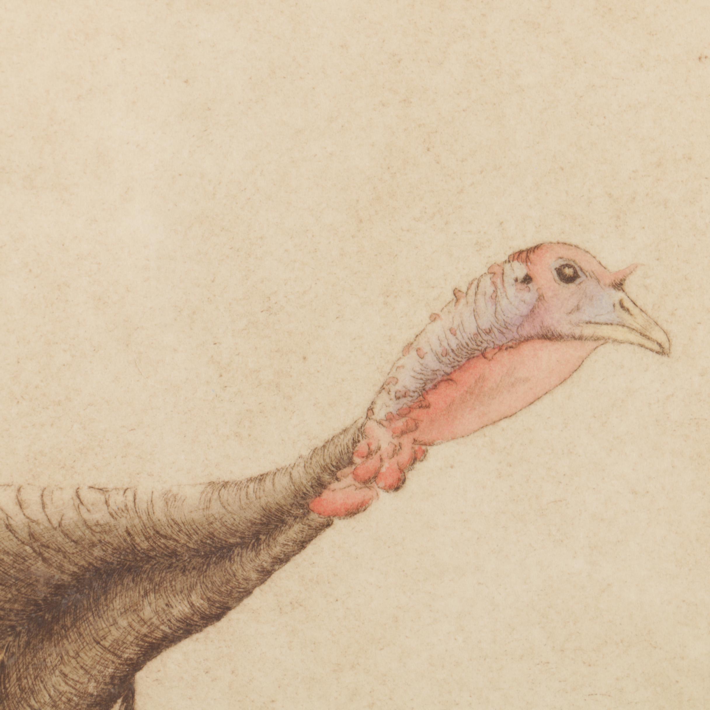 Melanie Fain Hand Colored Etching on Paper "Spring Toms"