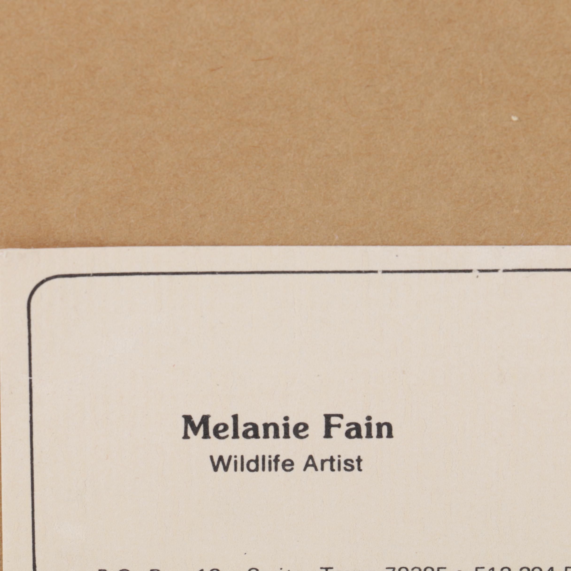 Melanie Fain Hand Colored Etching on Paper "Spring Toms"