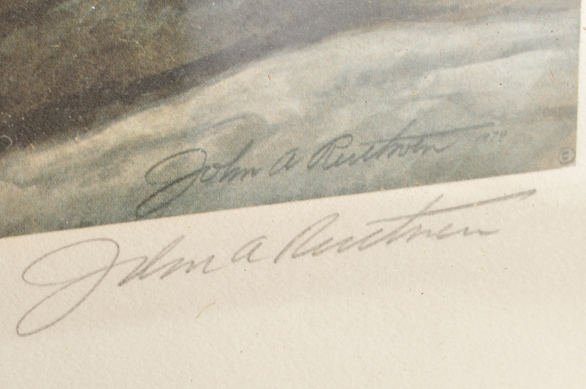 John Ruthven Limited Edition Offset Lithograph "White Tigers"