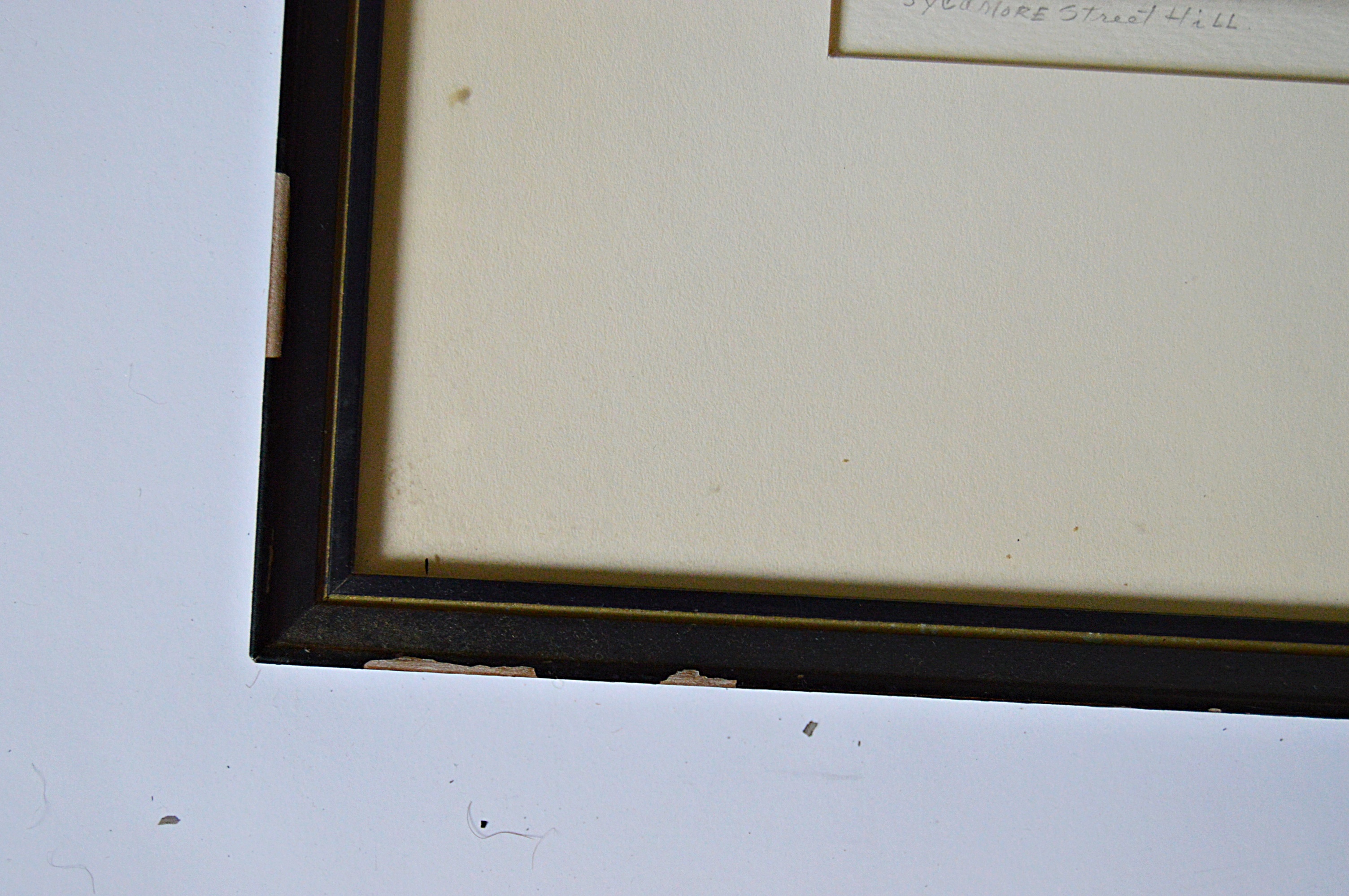 Caroline Williams Offset Lithographic Print "Sycamore Street Hill"