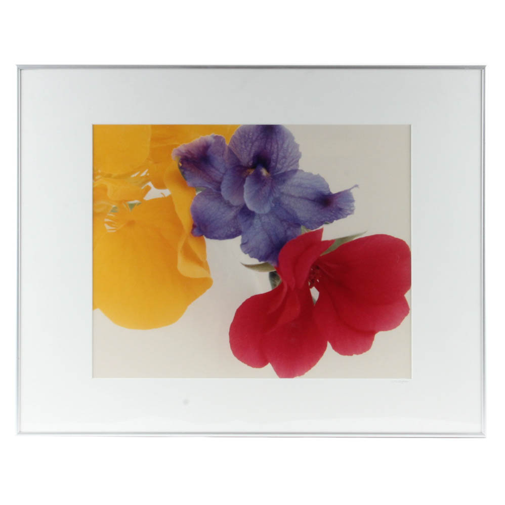 Jill Bedford Color Photograph "Primary Flowers"