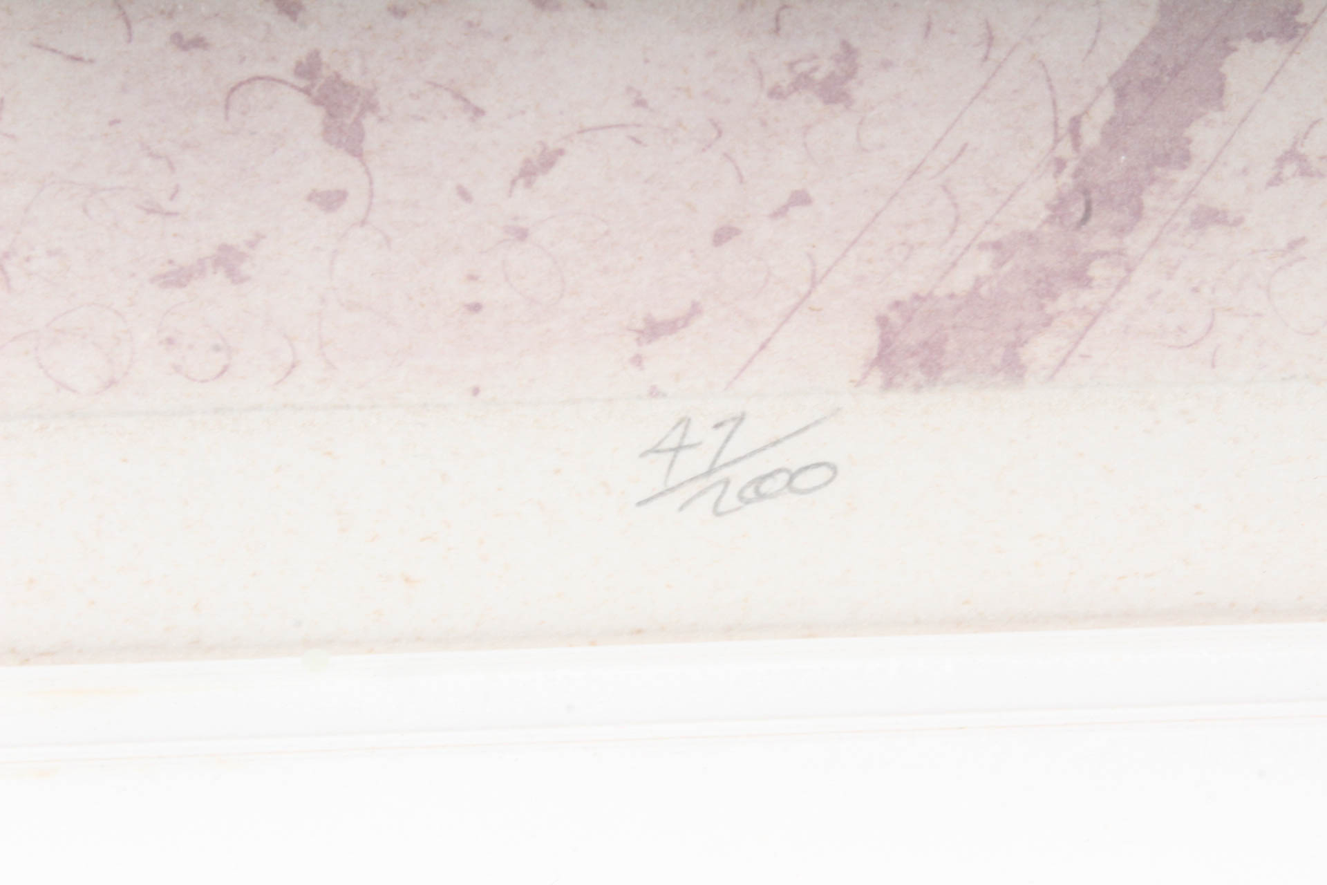 Russa Graeme Limited Edition Etching "Flower Farm II"