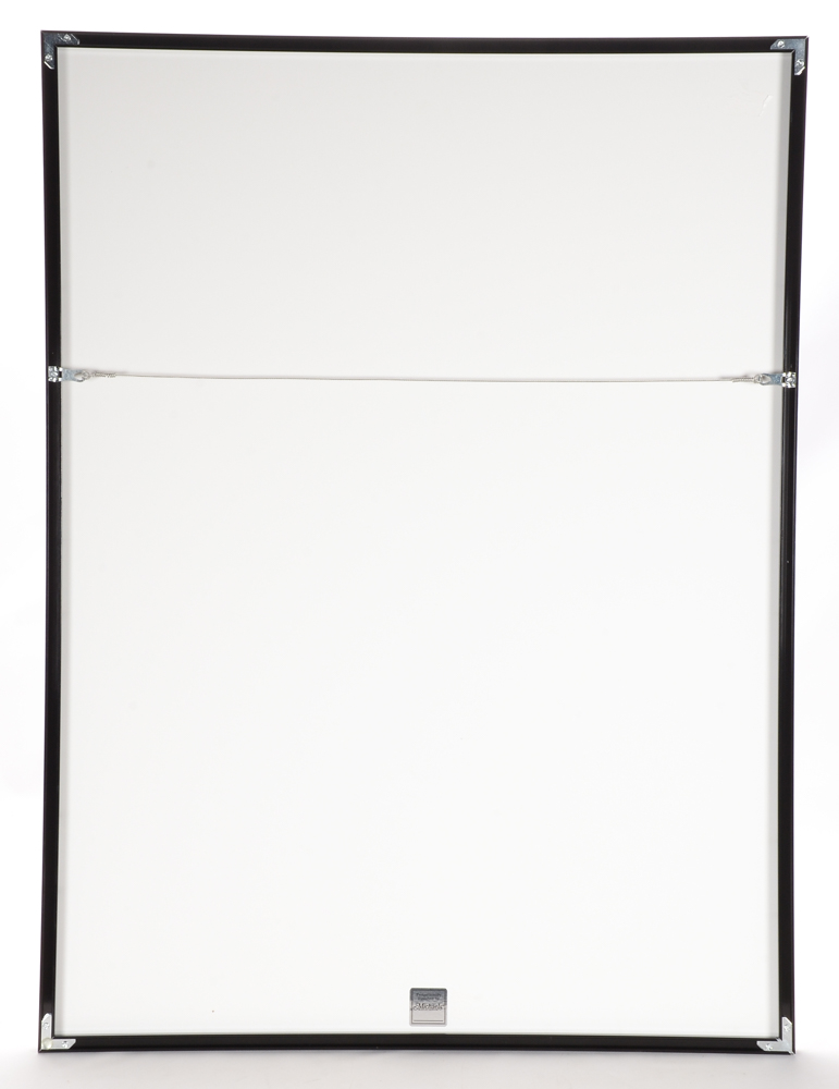 Charley Harper Poster for Glacier Bay  National Park