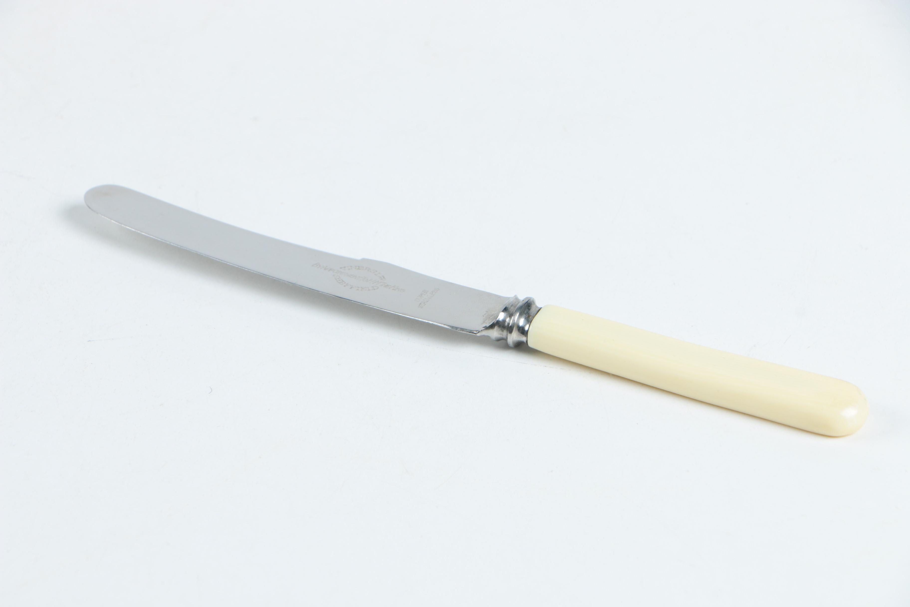 Viners Ltd. Sheffield Ivorine Knife Set