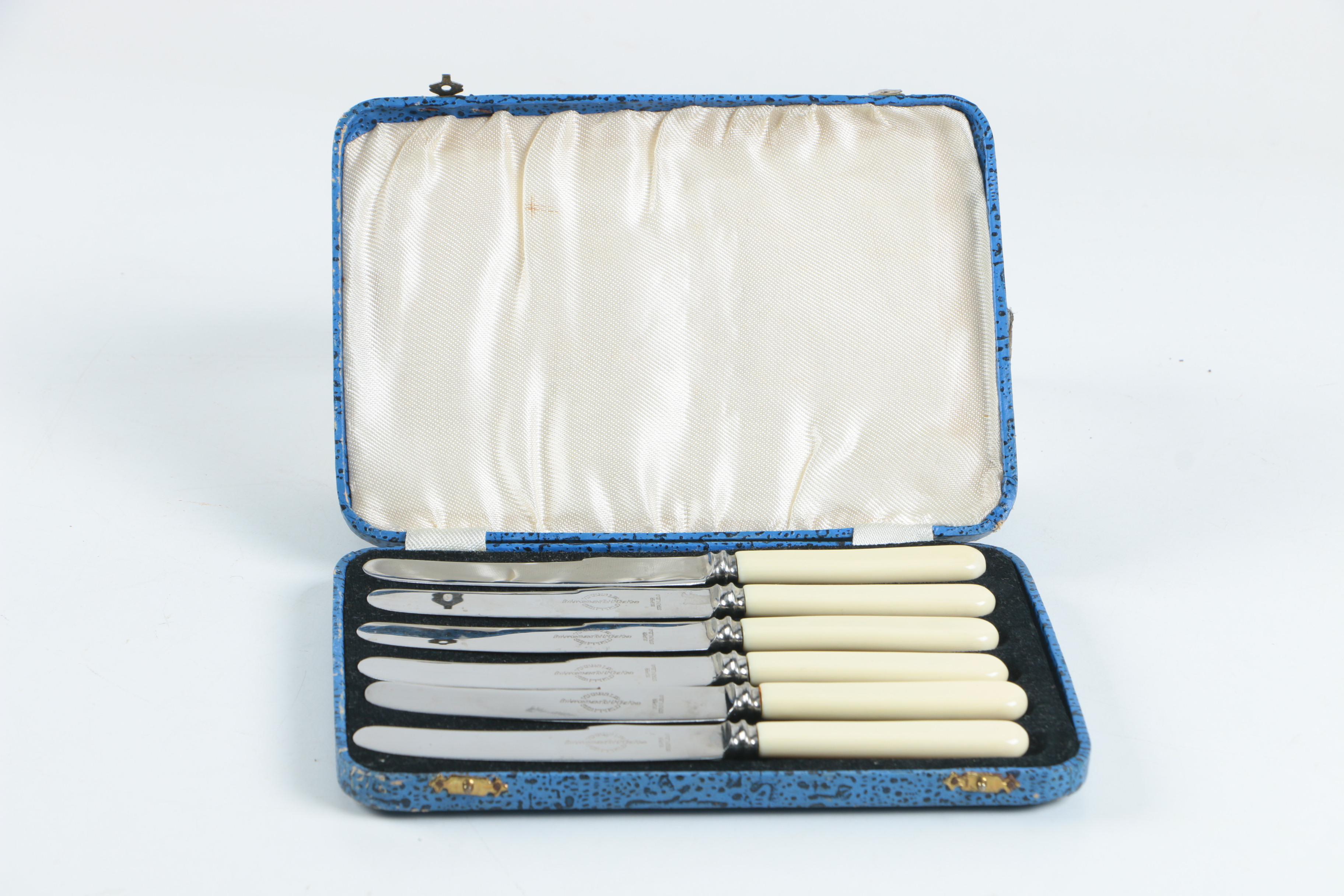 Viners Ltd. Sheffield Ivorine Knife Set