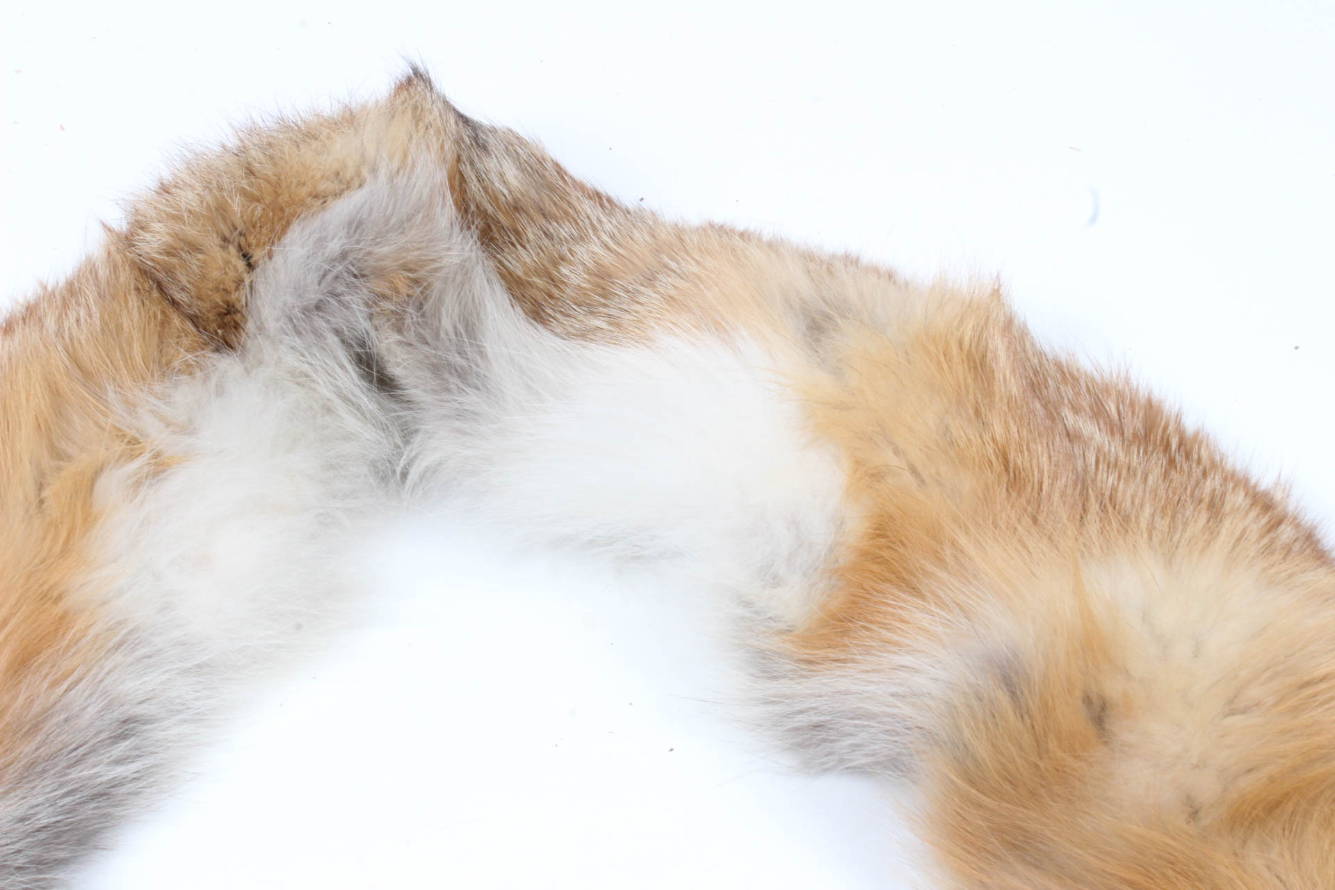 Vintage Fox Fur Collar