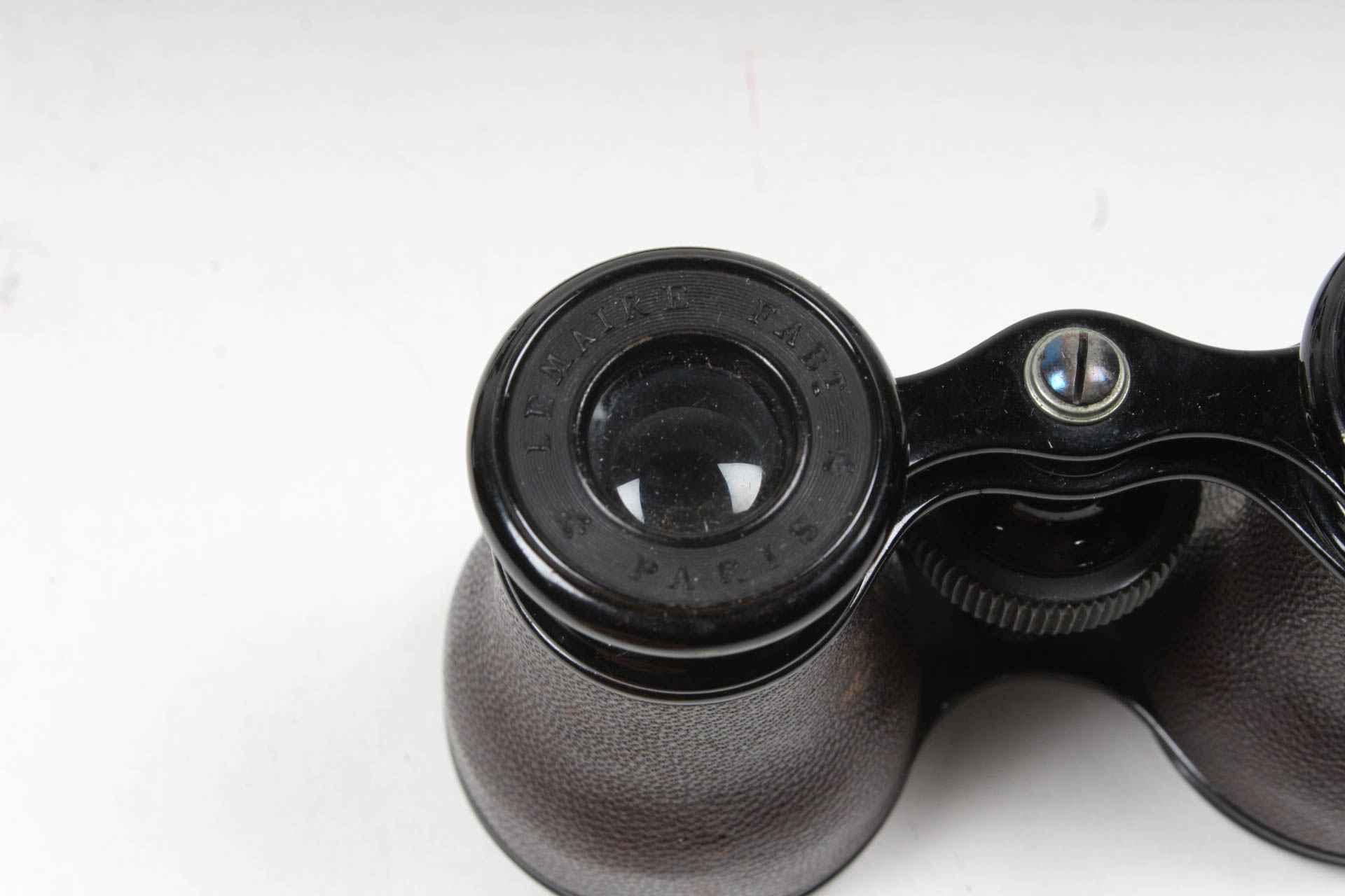 Early 20th Century Discovery Collection