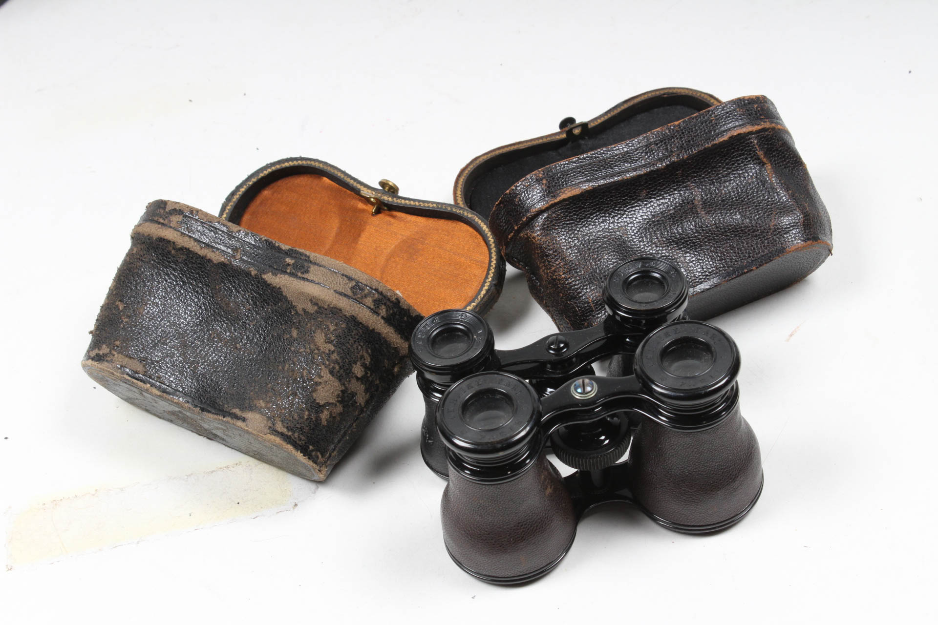 Early 20th Century Discovery Collection