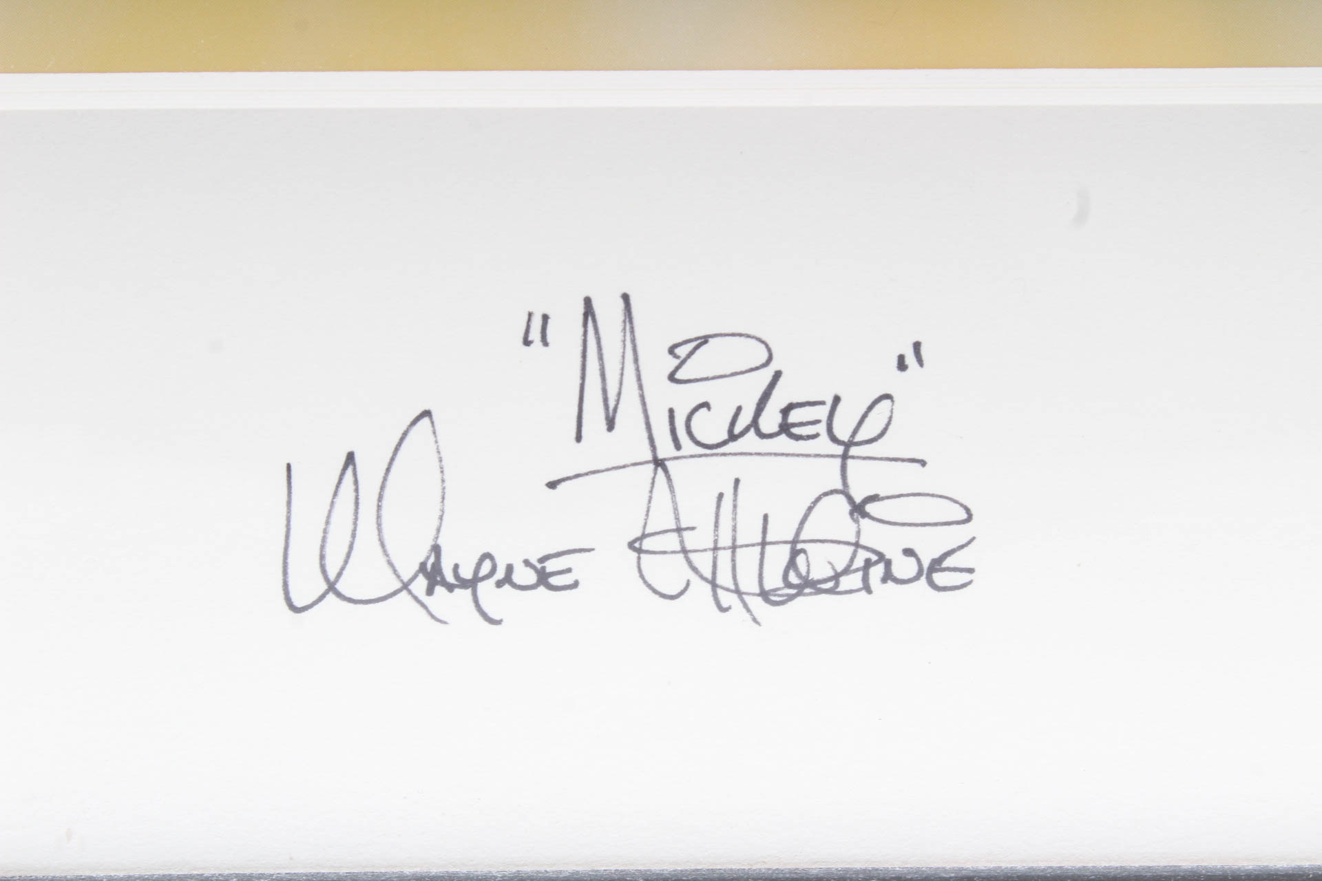 Autographed Limited Edition Sericel of Disney Characters