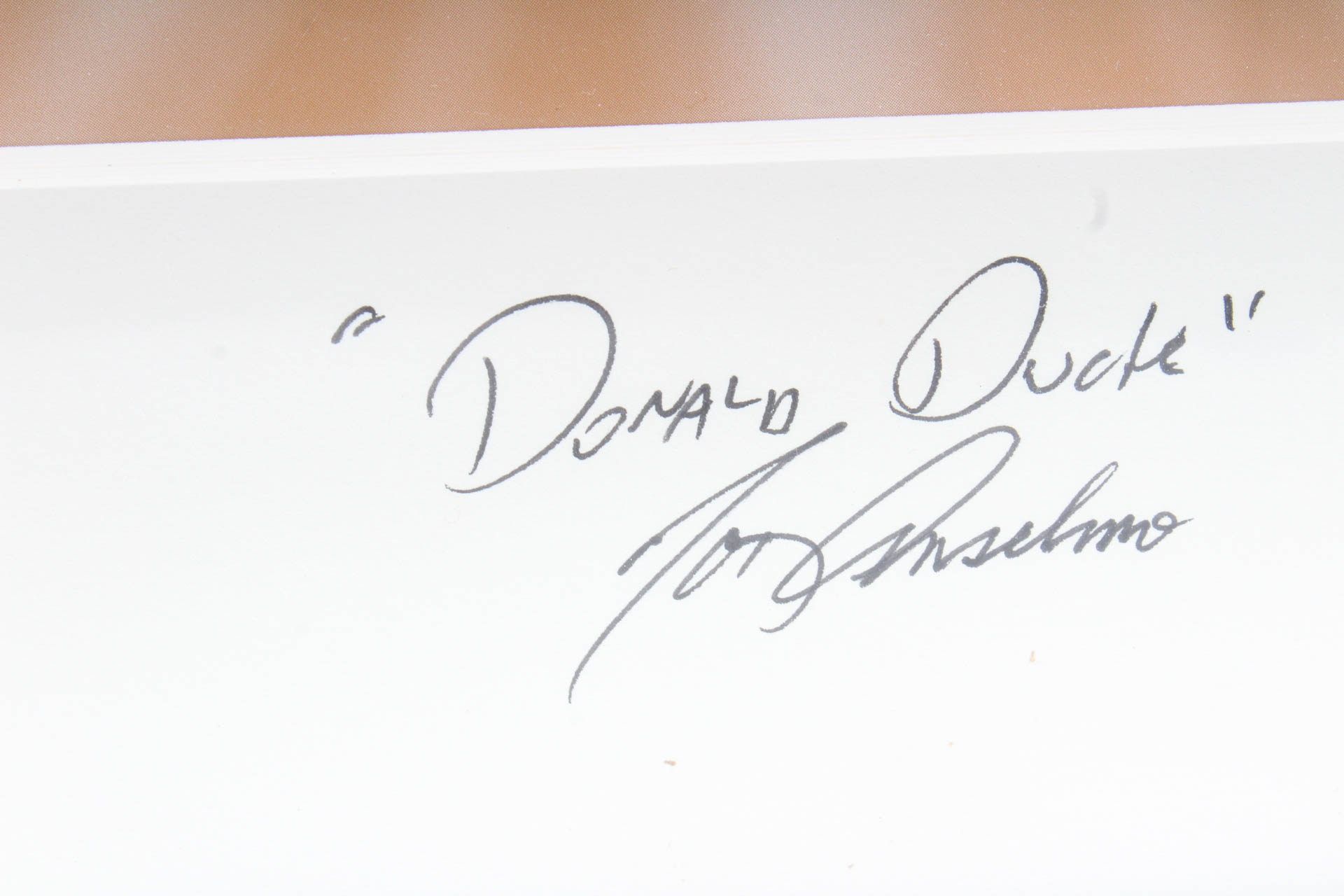 Autographed Limited Edition Sericel of Disney Characters