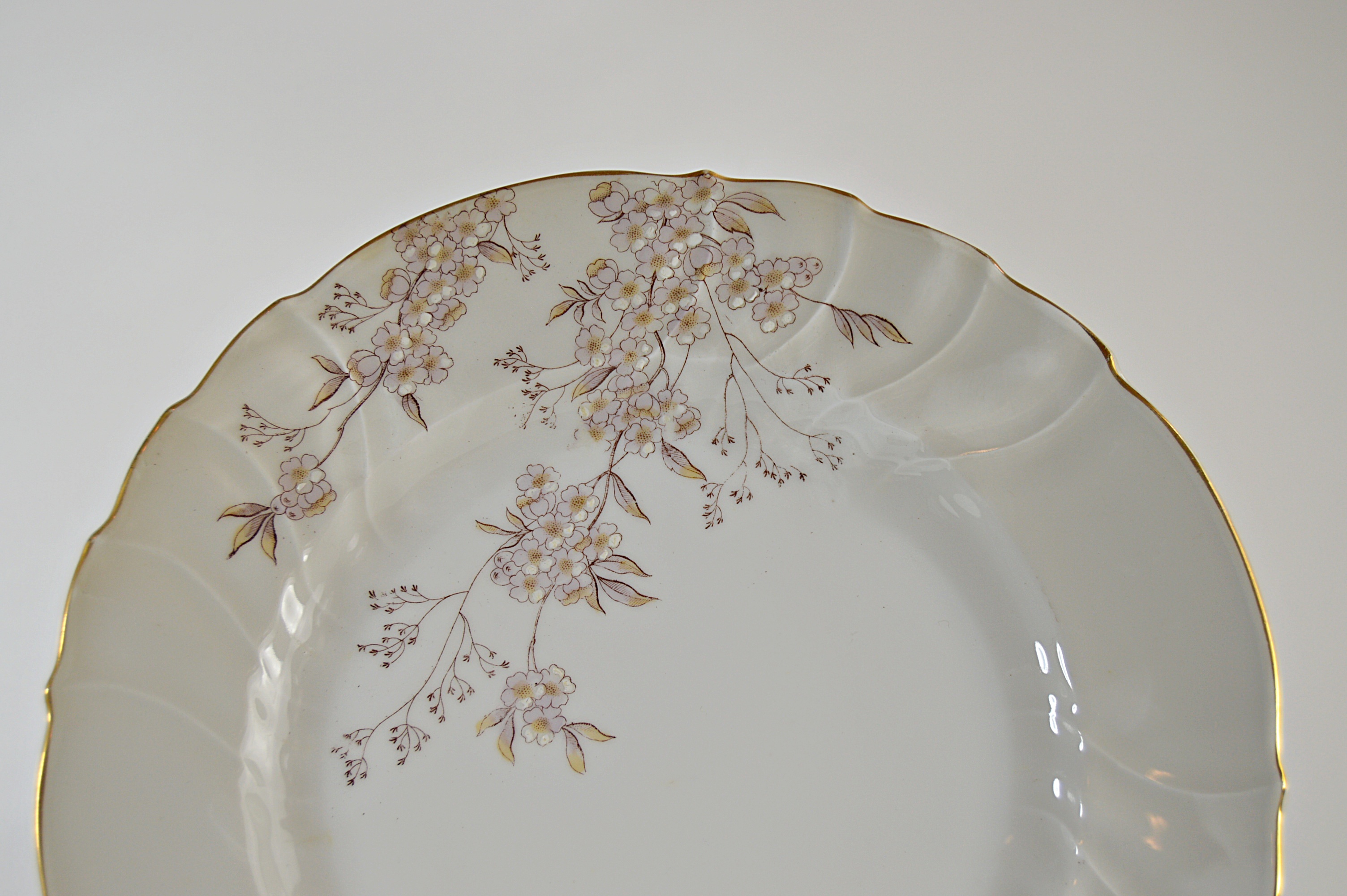 Set of Antique Austrian China Plates