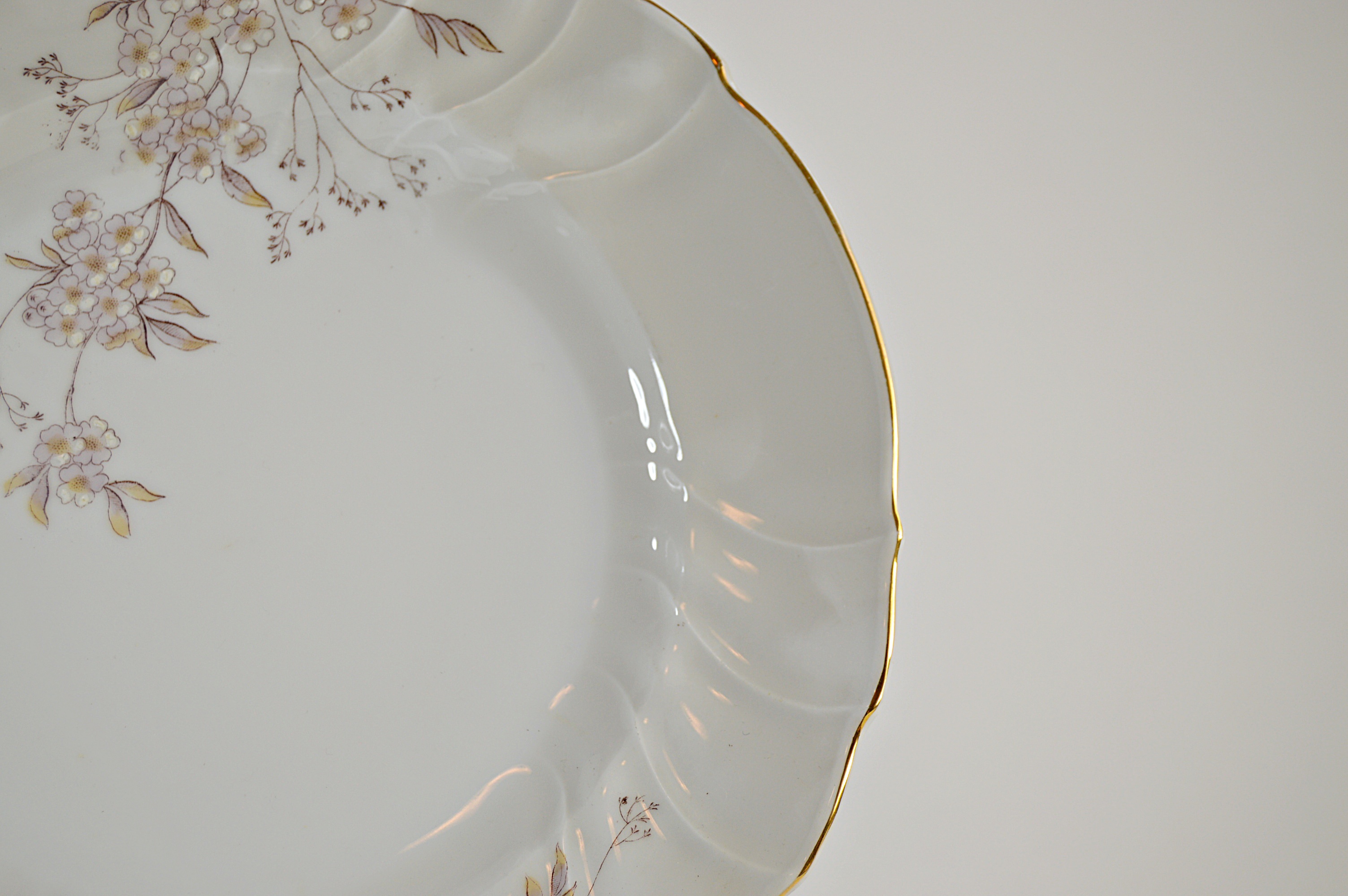 Set of Antique Austrian China Plates