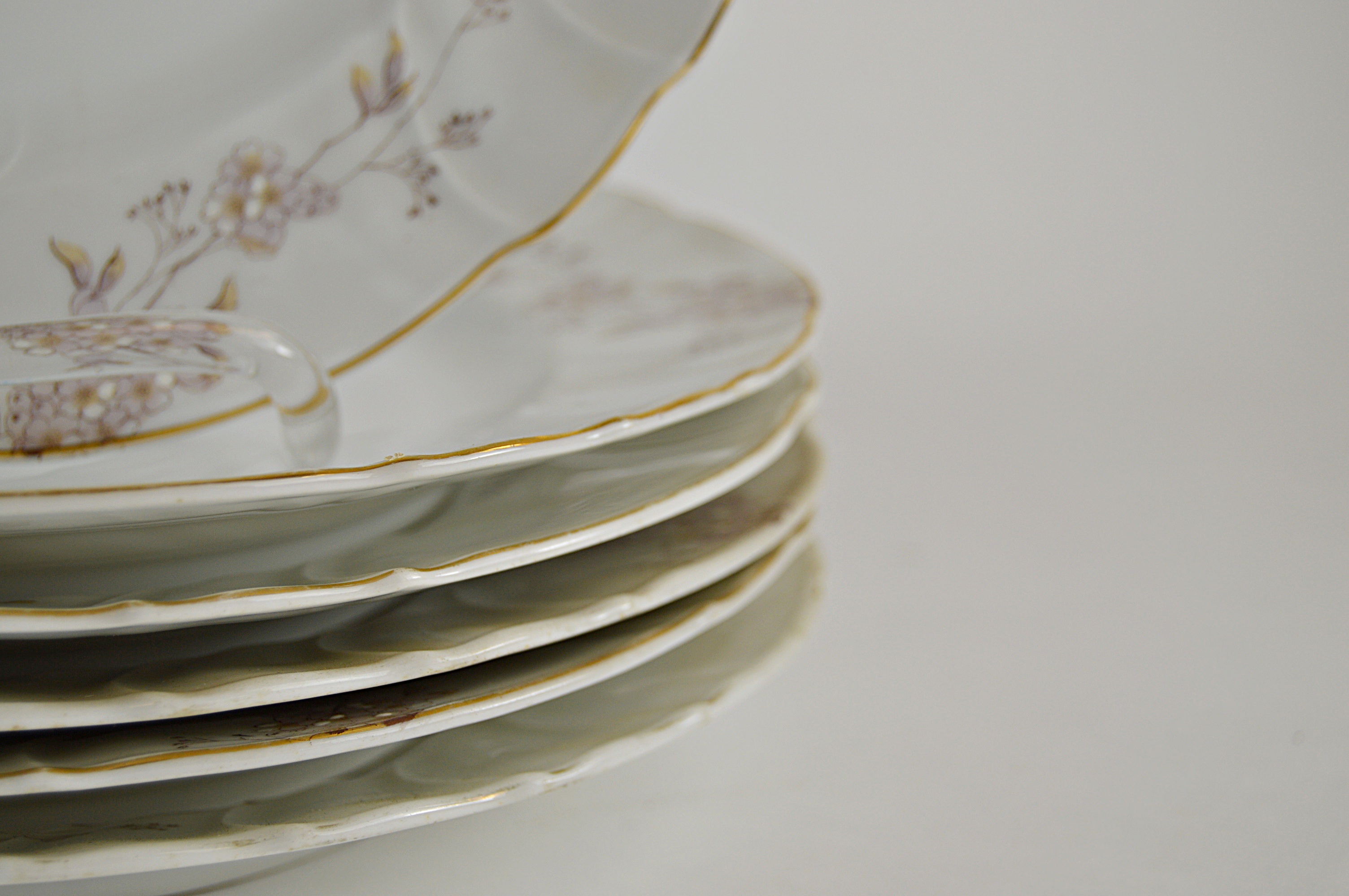 Set of Antique Austrian China Plates