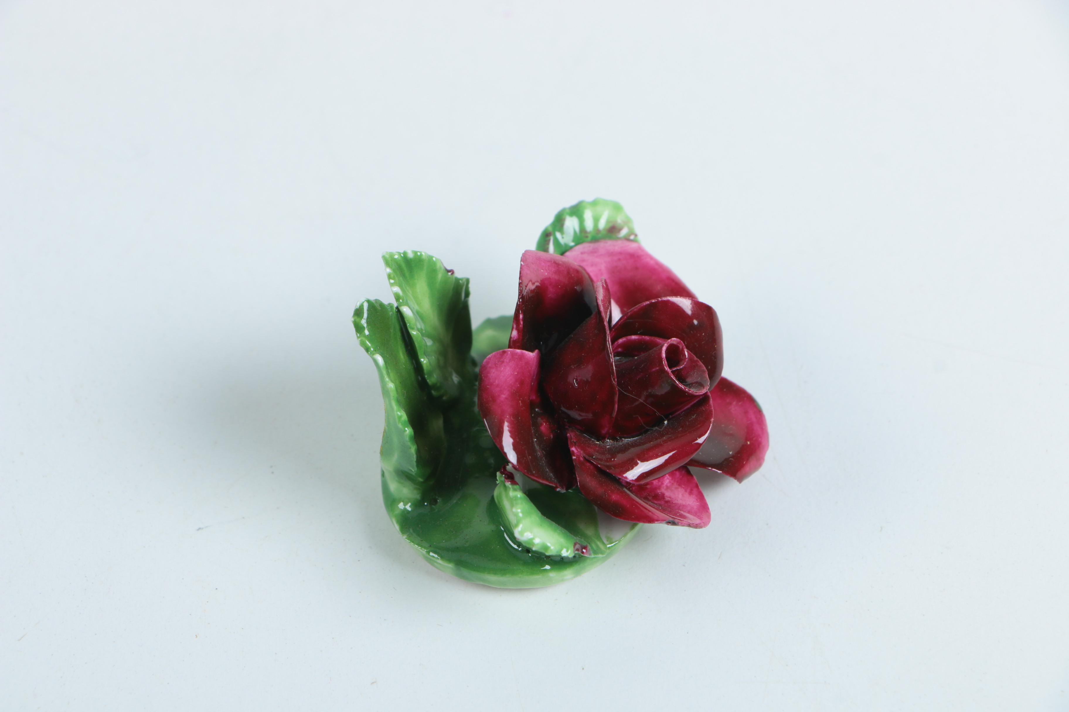 Collection of English Bone China Flowers Including Aynsley