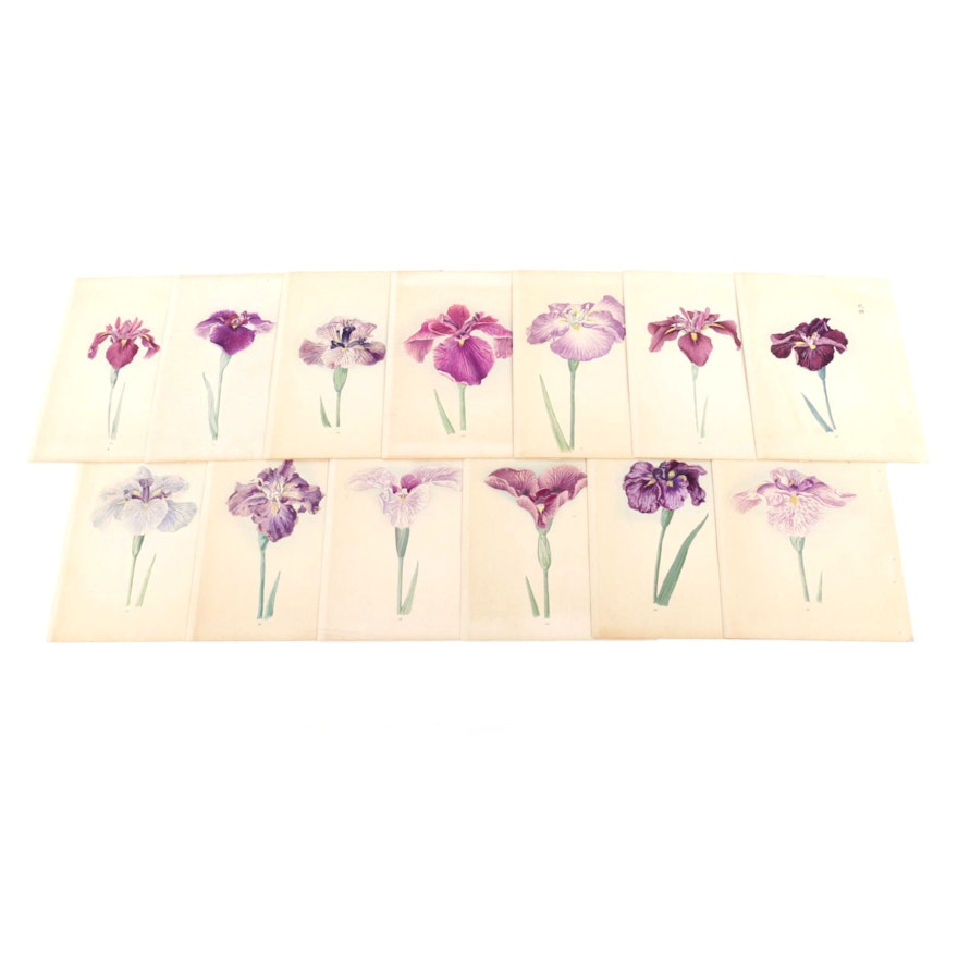 East Asian Woodblock Prints on Paper of Purple Irises