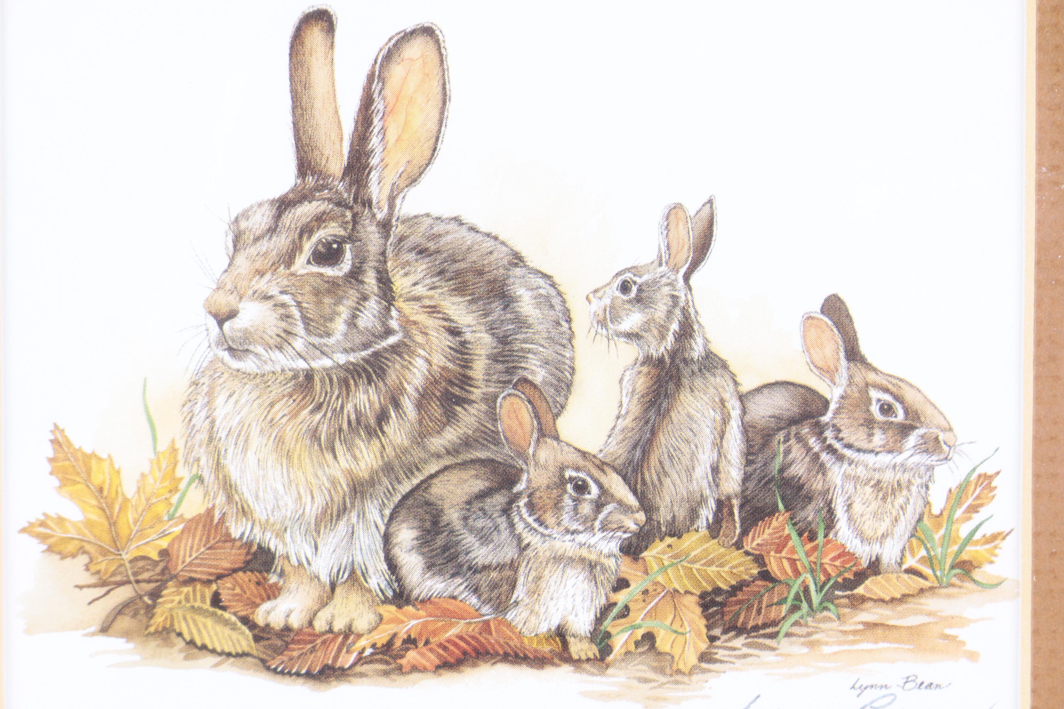 Lynn Bean Offset Lithograph on Paper of Rabbits