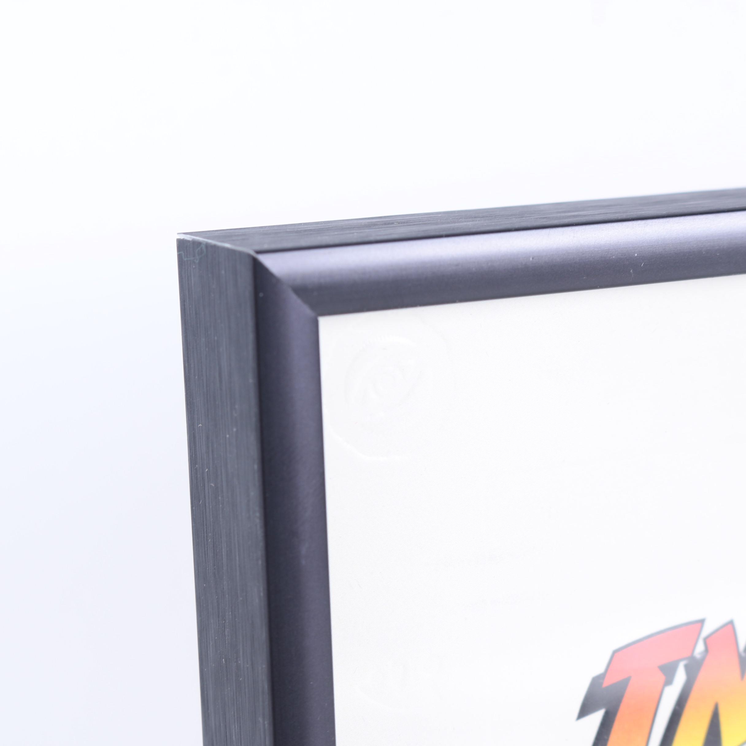 Disneyland Indiana Jones Adventure Ride Framed Memorabilia