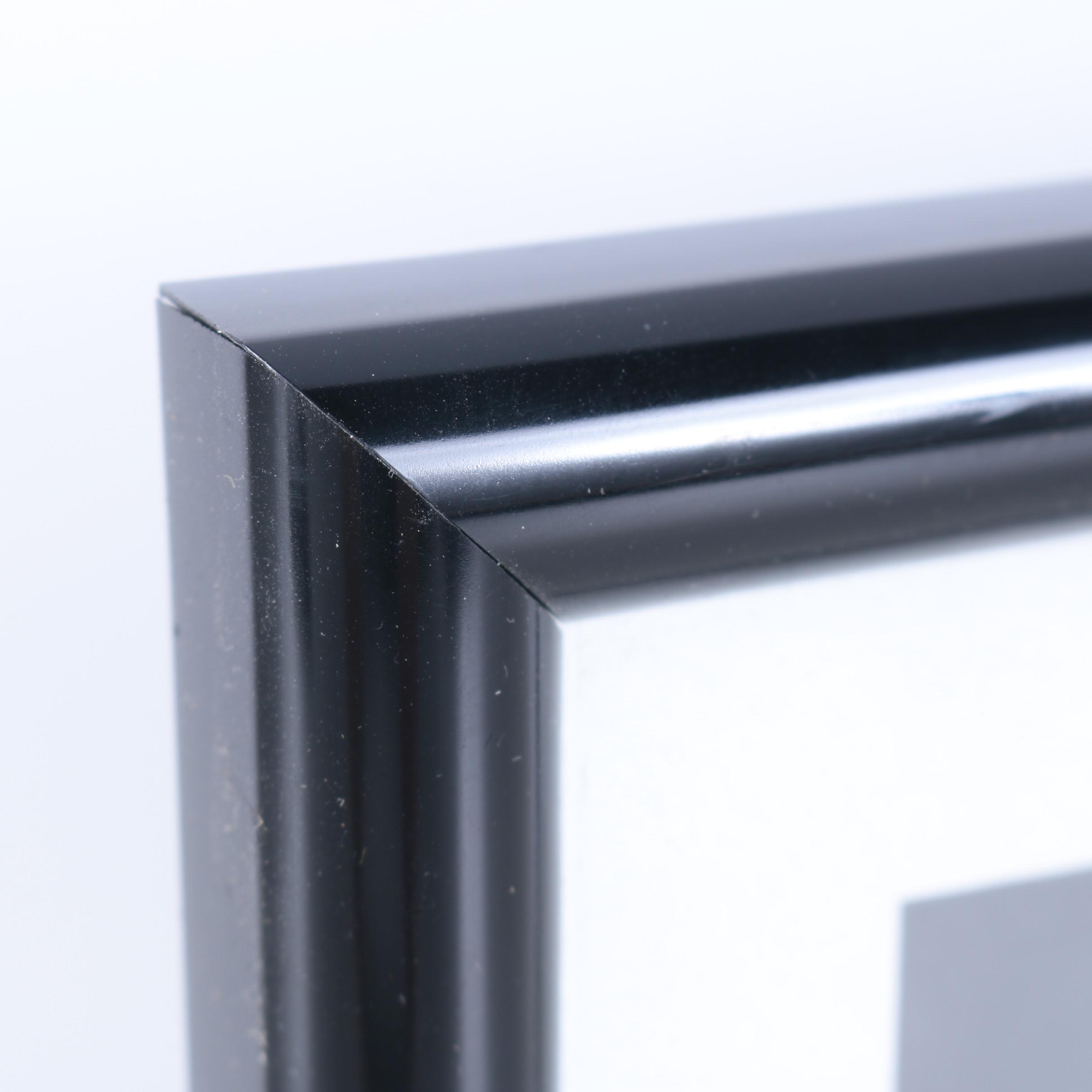 Disneyland Indiana Jones Adventure Ride Framed Memorabilia