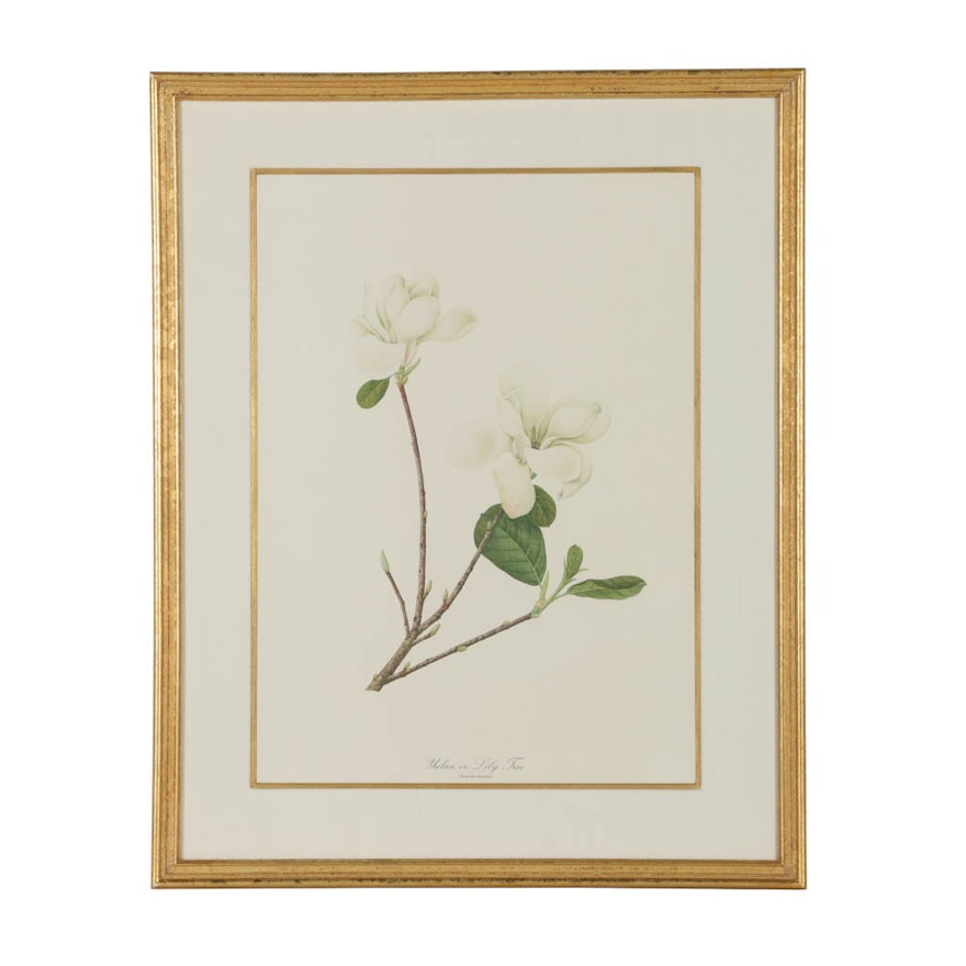 Framed Print on Paper "Lily Tree"