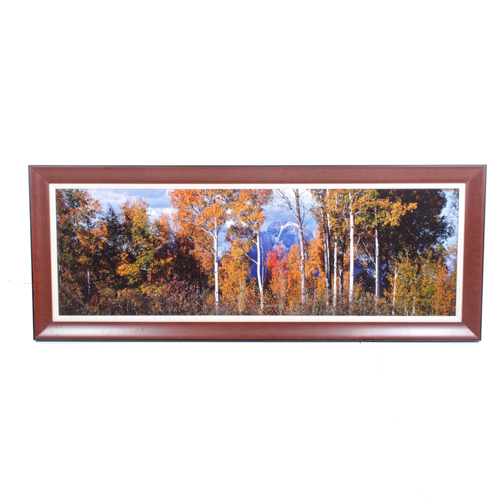 Oversize Thomas D. Mangelsen Fall Panoramic Landscape Photograph