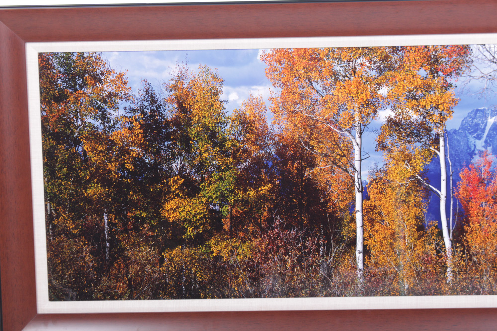 Oversize Thomas D. Mangelsen Fall Panoramic Landscape Photograph