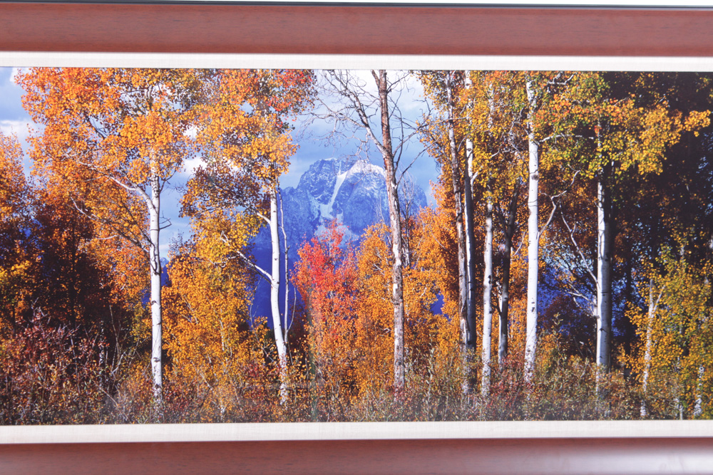 Oversize Thomas D. Mangelsen Fall Panoramic Landscape Photograph