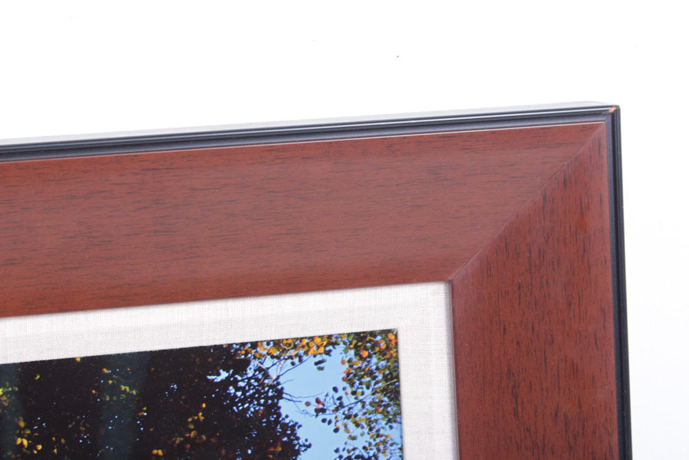 Oversize Thomas D. Mangelsen Fall Panoramic Landscape Photograph