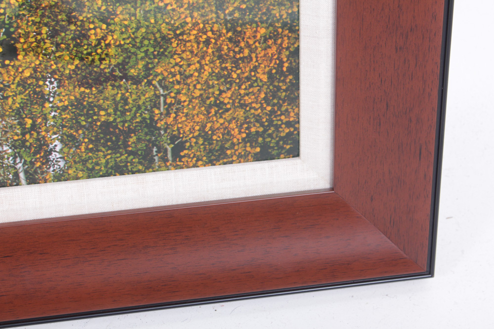 Oversize Thomas D. Mangelsen Fall Panoramic Landscape Photograph