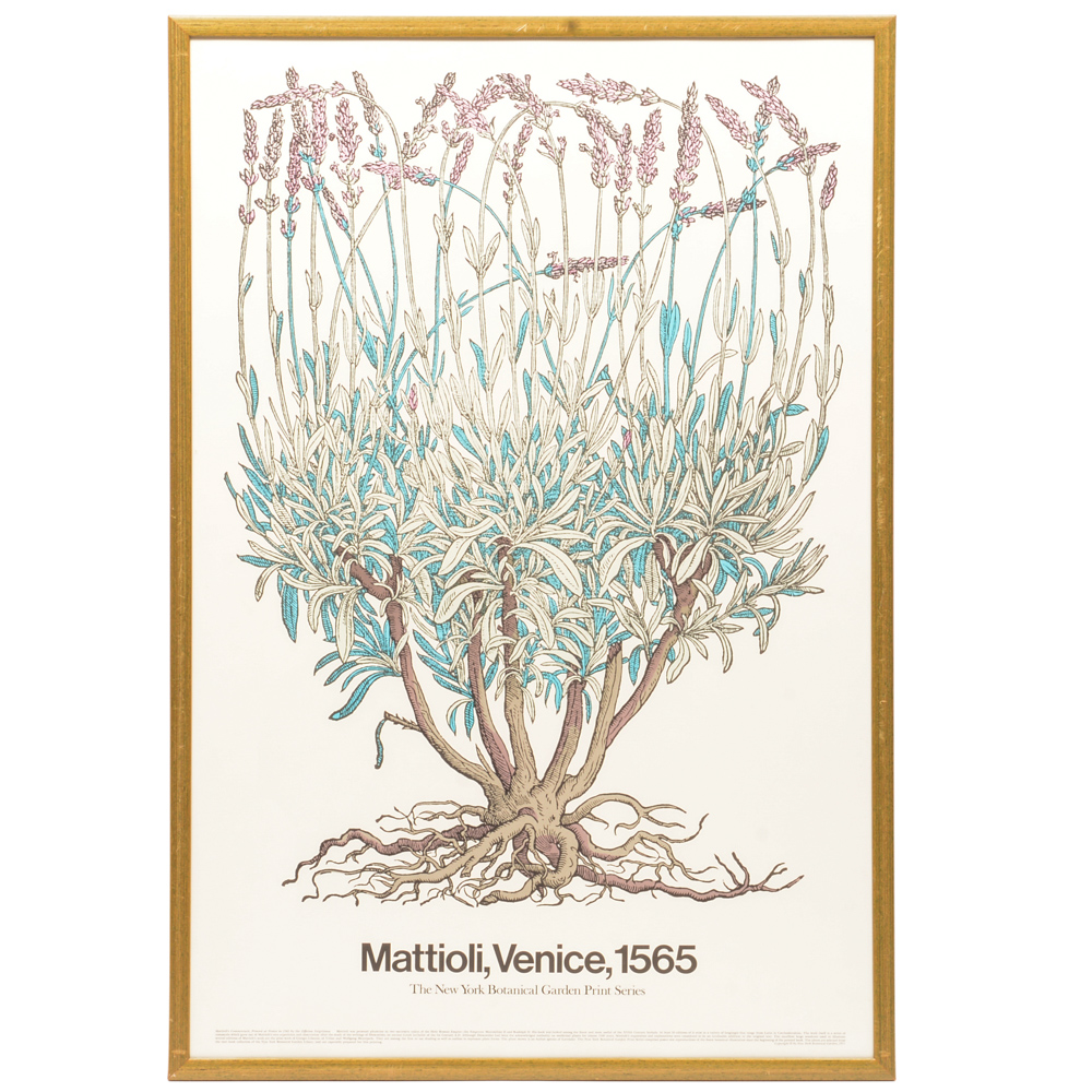 Poster From "The New York Botanical Garden Print Series"