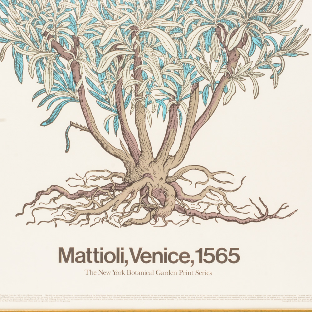 Poster From "The New York Botanical Garden Print Series"