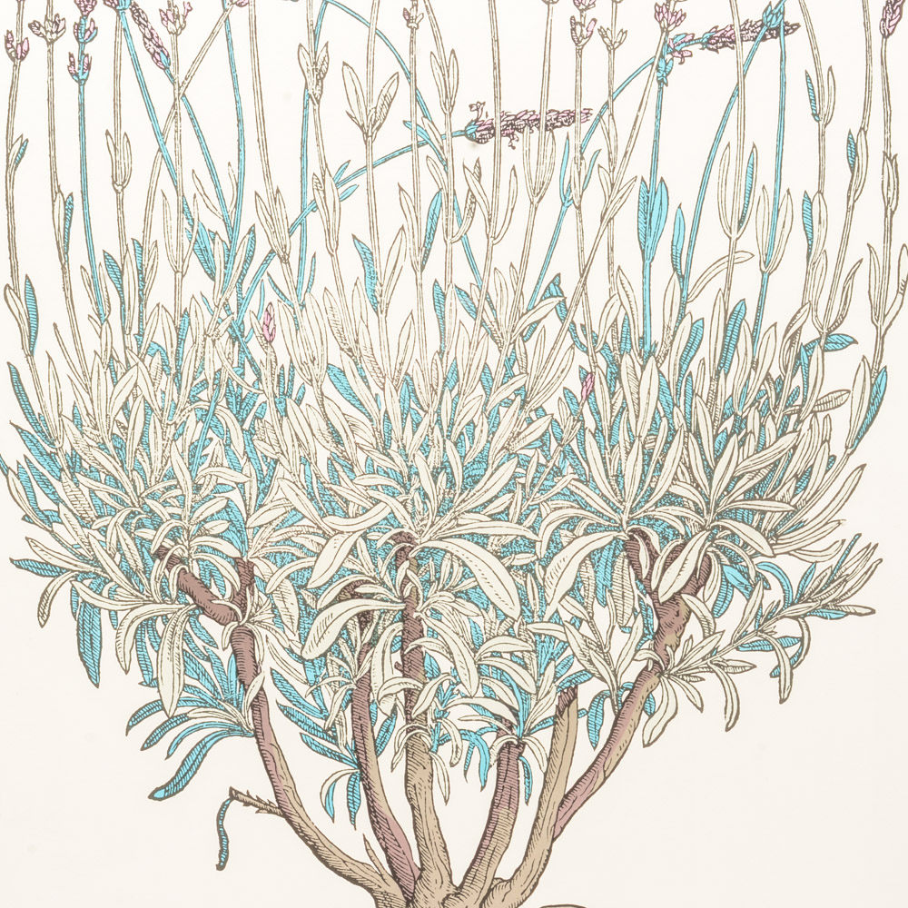 Poster From "The New York Botanical Garden Print Series"