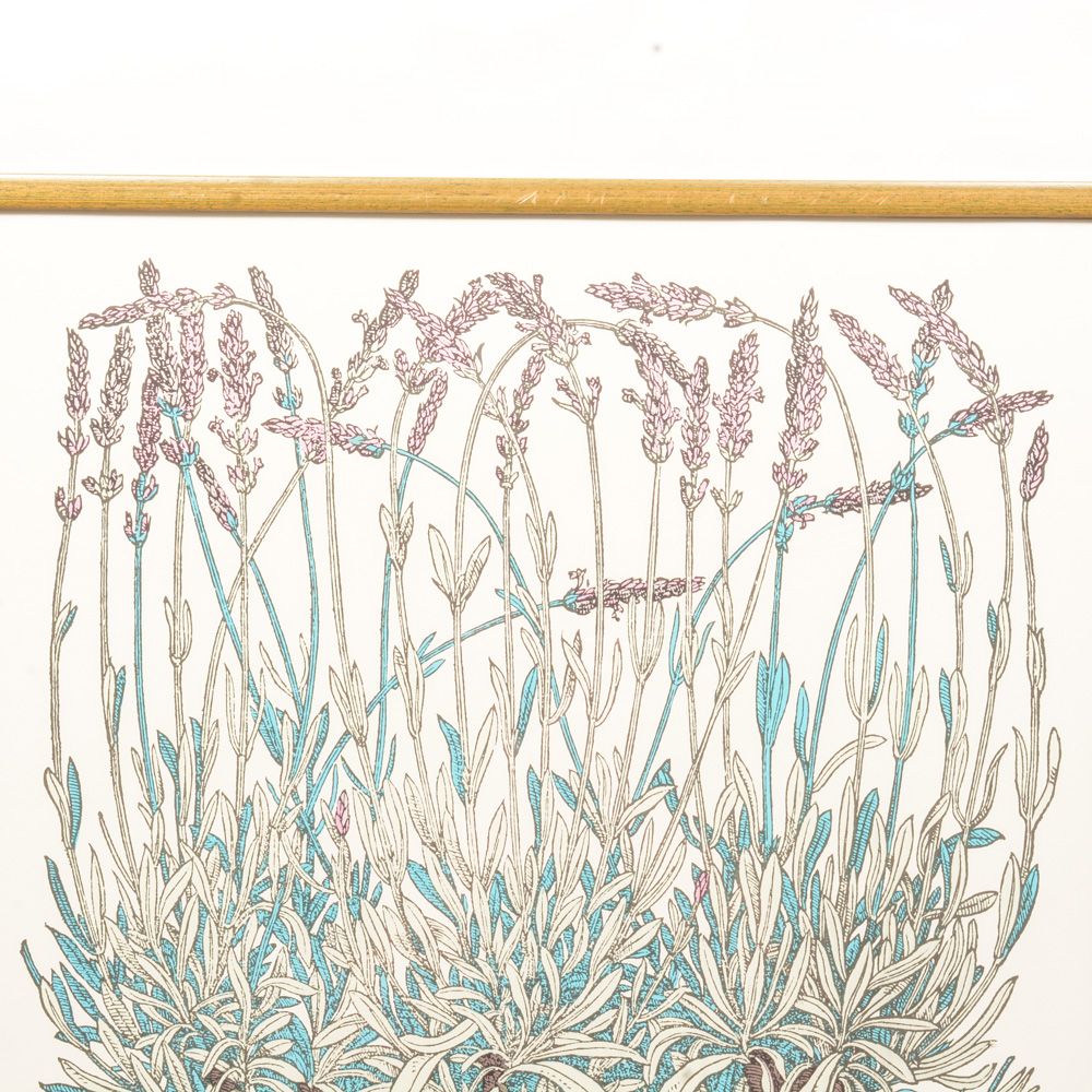 Poster From "The New York Botanical Garden Print Series"