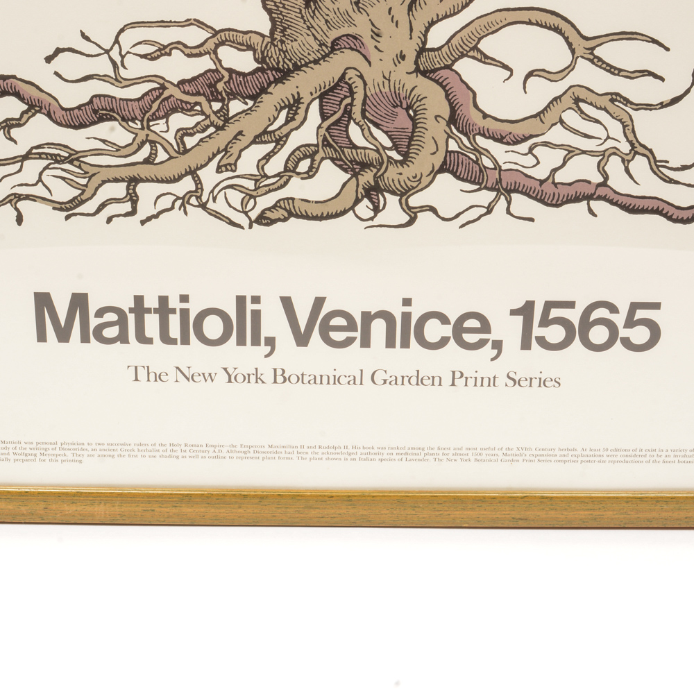 Poster From "The New York Botanical Garden Print Series"