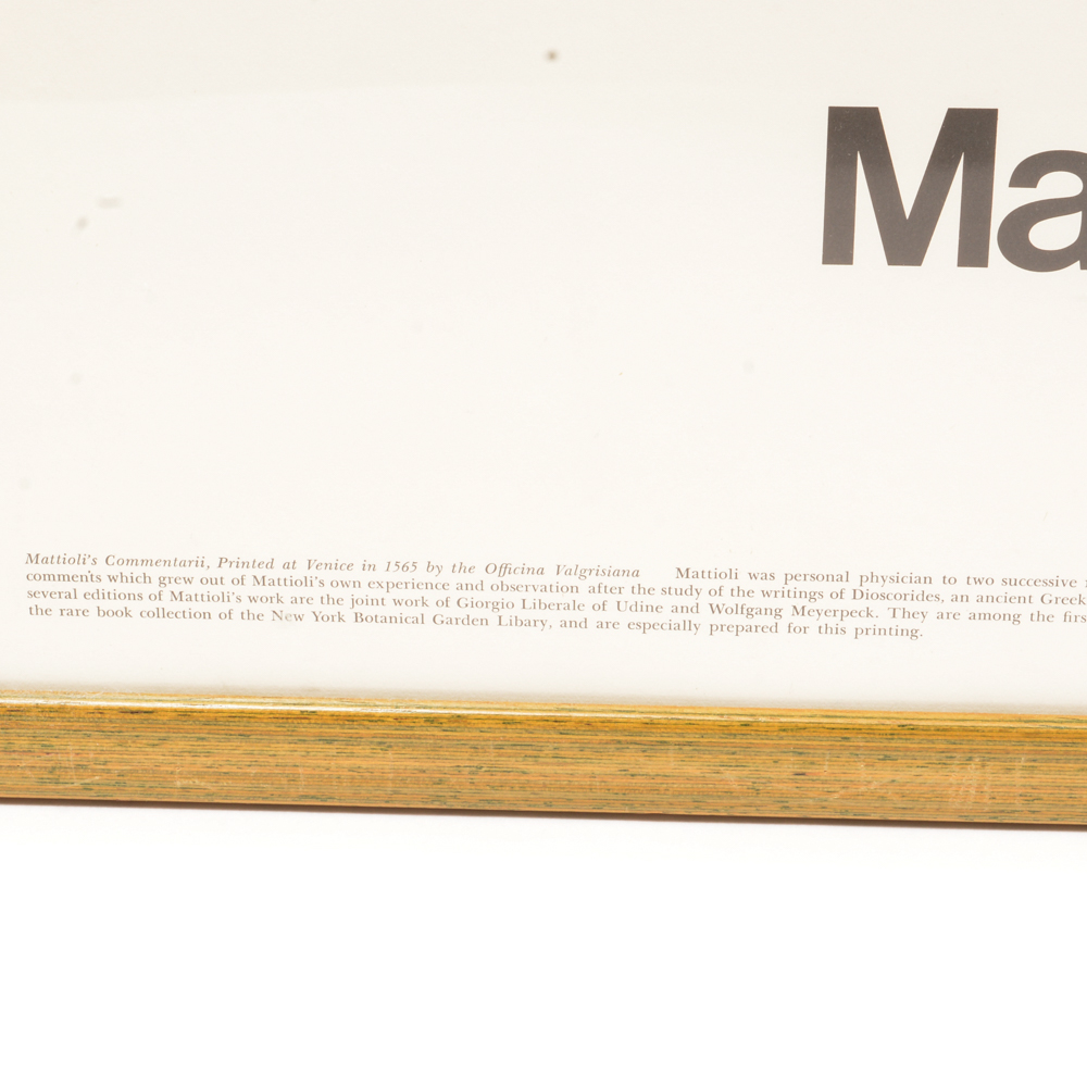 Poster From "The New York Botanical Garden Print Series"