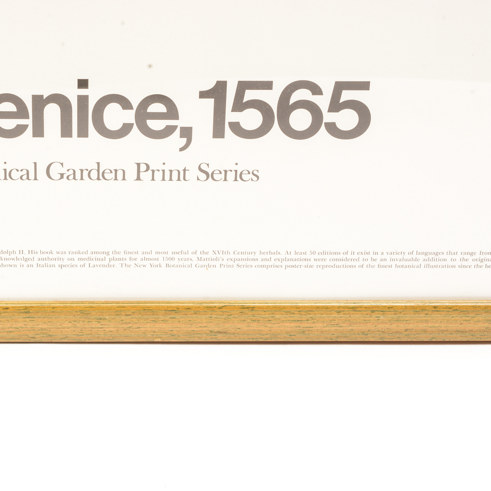 Poster From "The New York Botanical Garden Print Series"