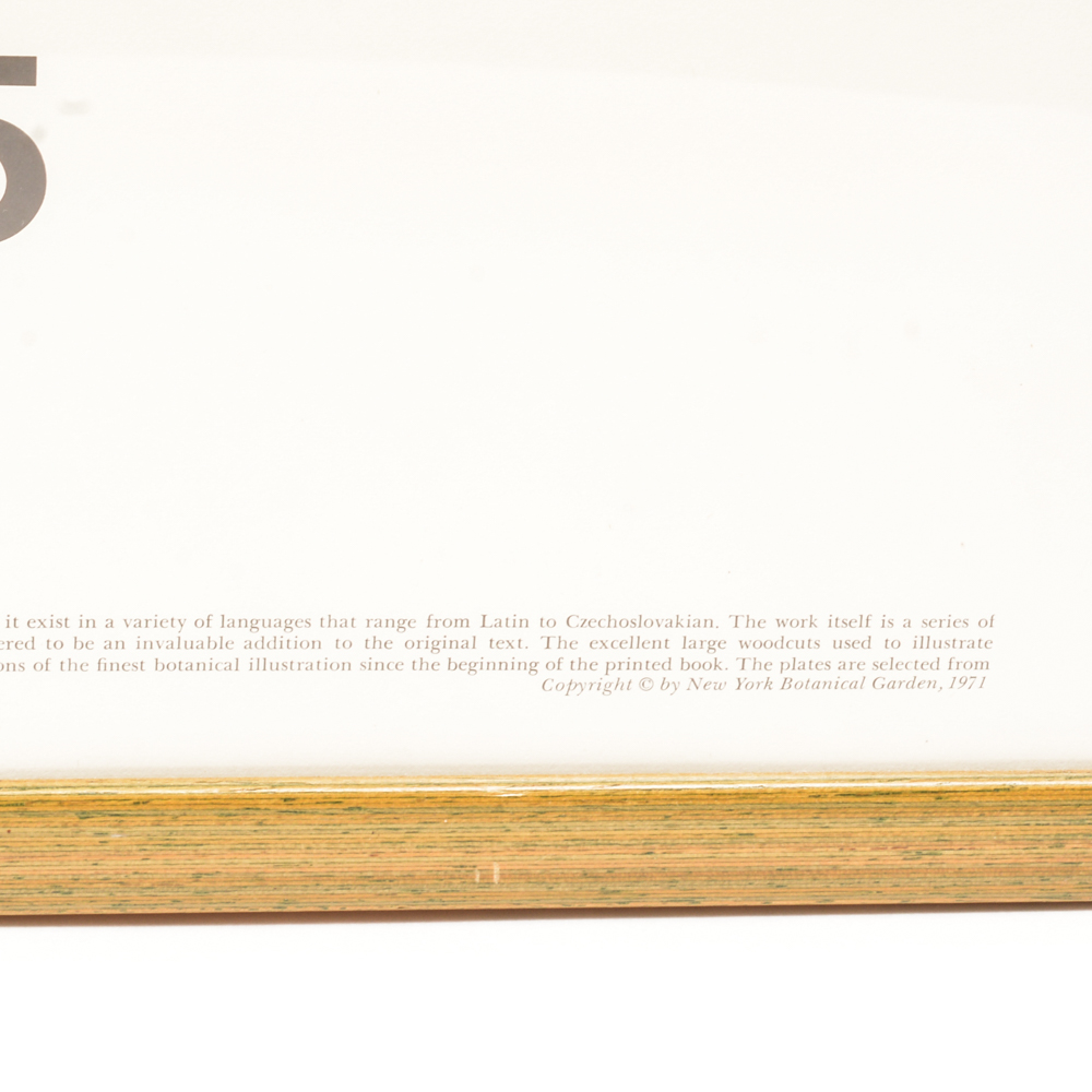 Poster From "The New York Botanical Garden Print Series"