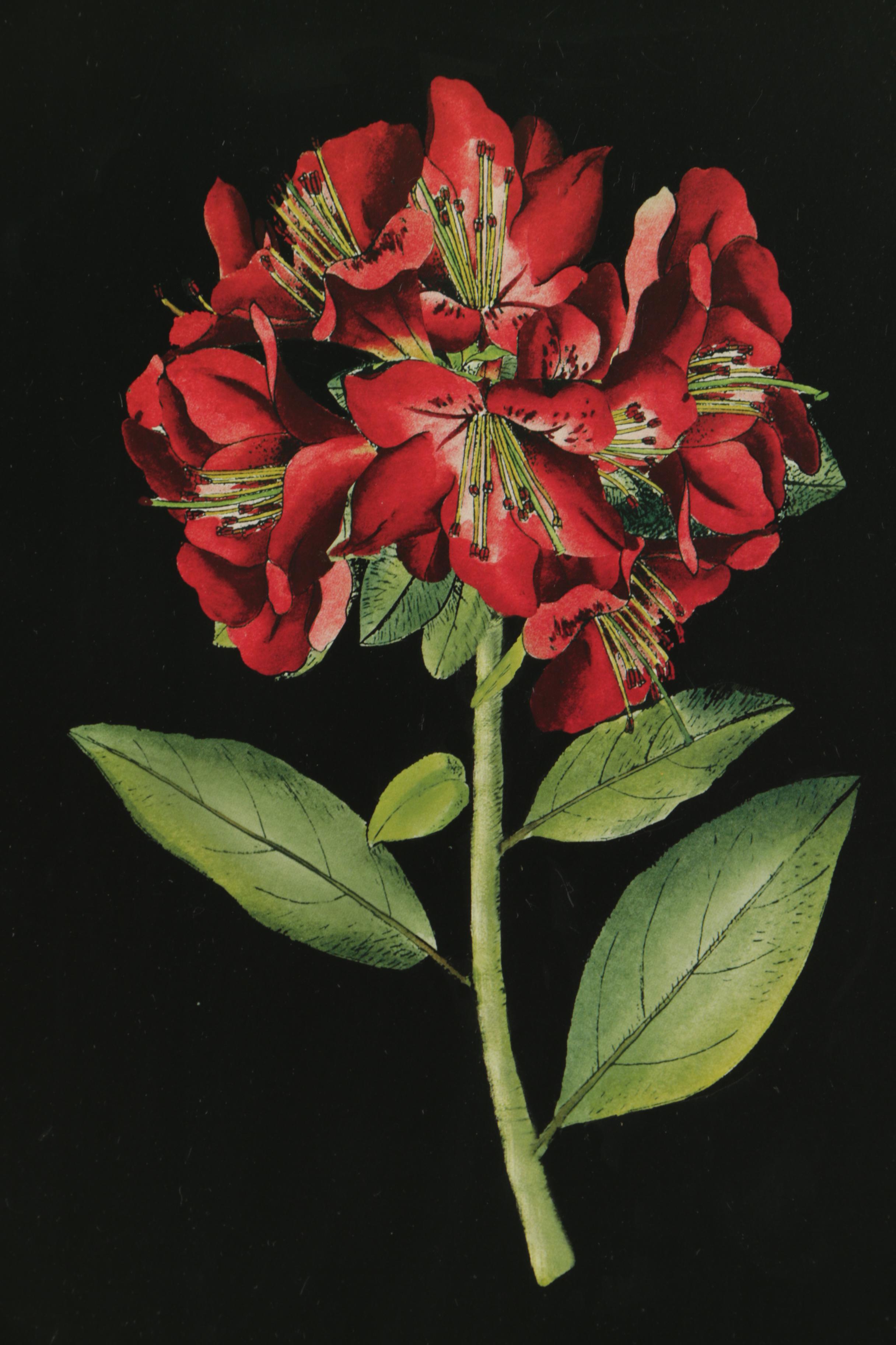 Two Reproduction Prints on Paper