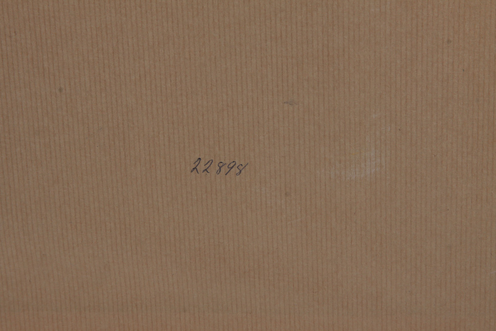 Luigi Kasimir Etching "Bad Gastein, Main Street"