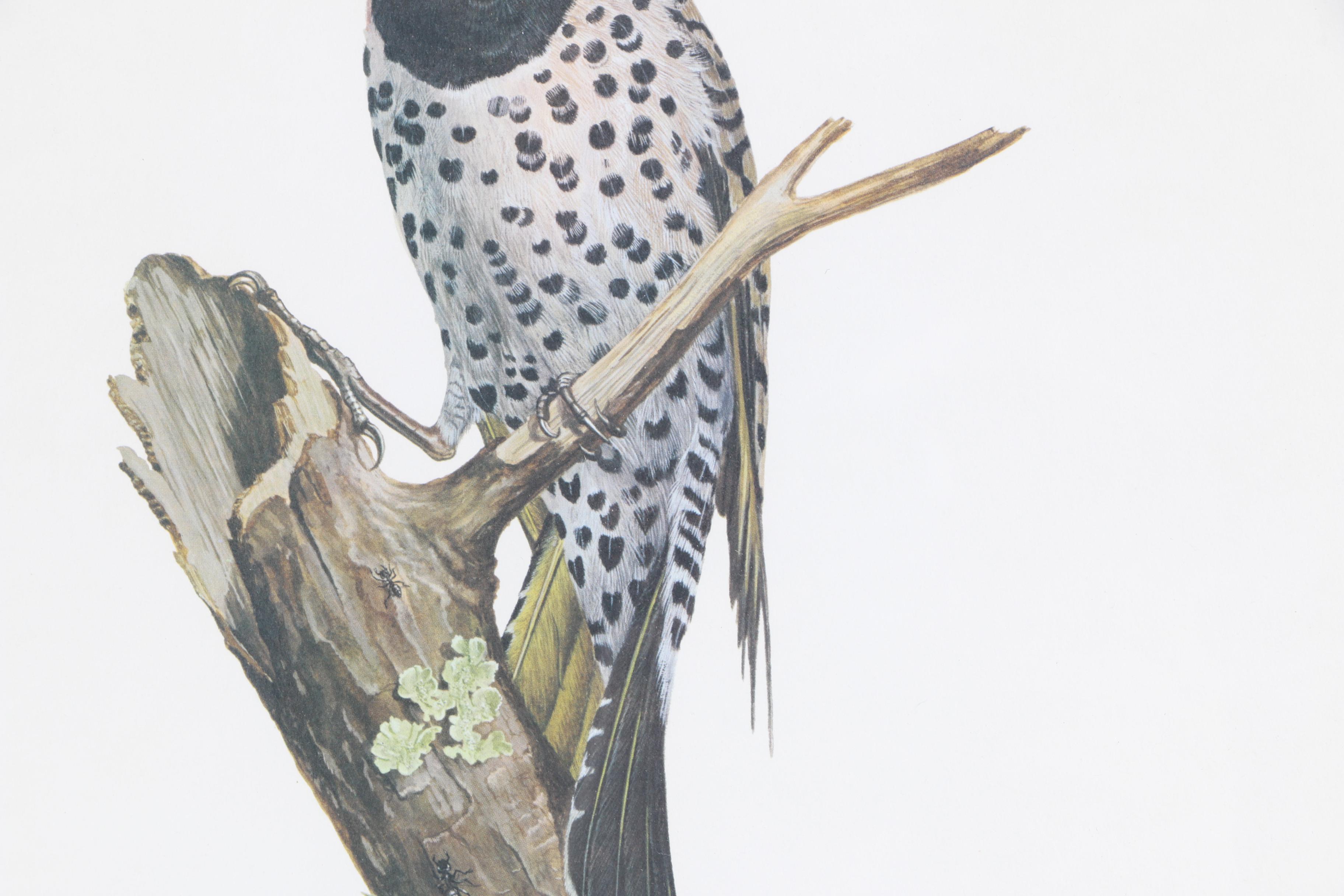 Ray Harm Reproduction Print on Paper "Flicker"